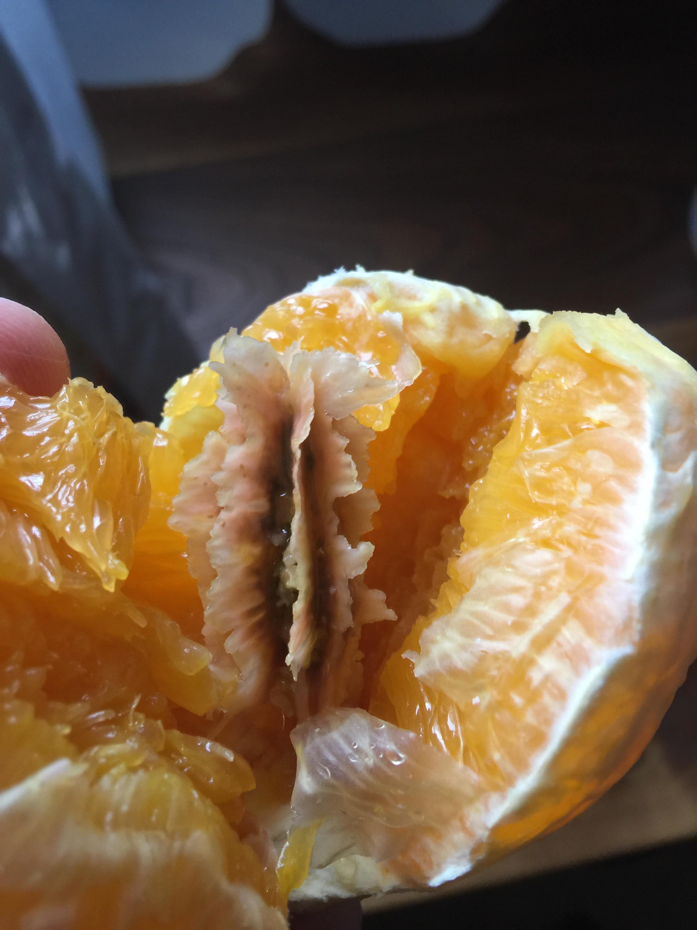 MUTANT ORANGE When I skinned this navel orange and began to pull it