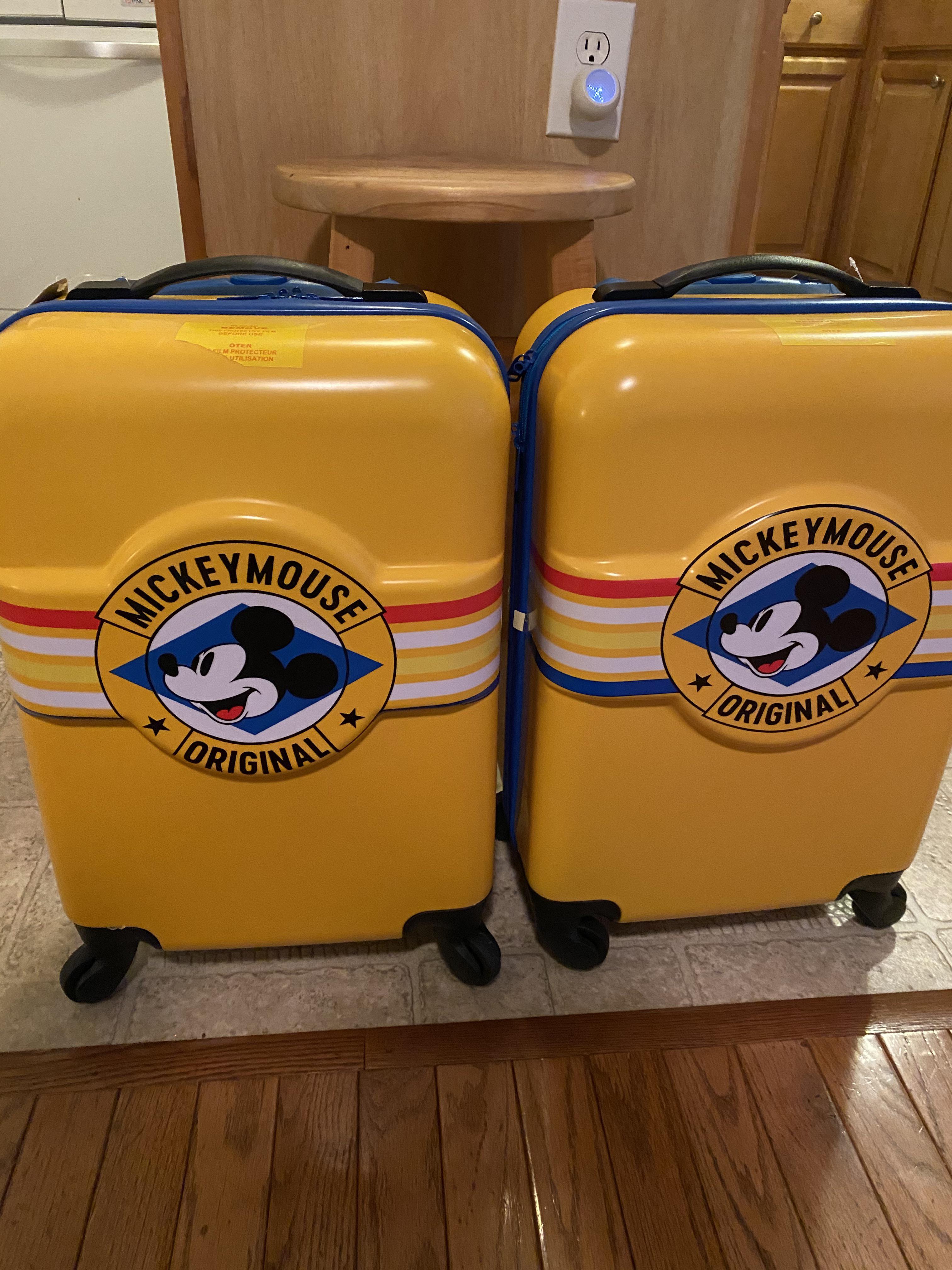 Disney Store has smaller hard shell suitcases for 24 dollars a piece