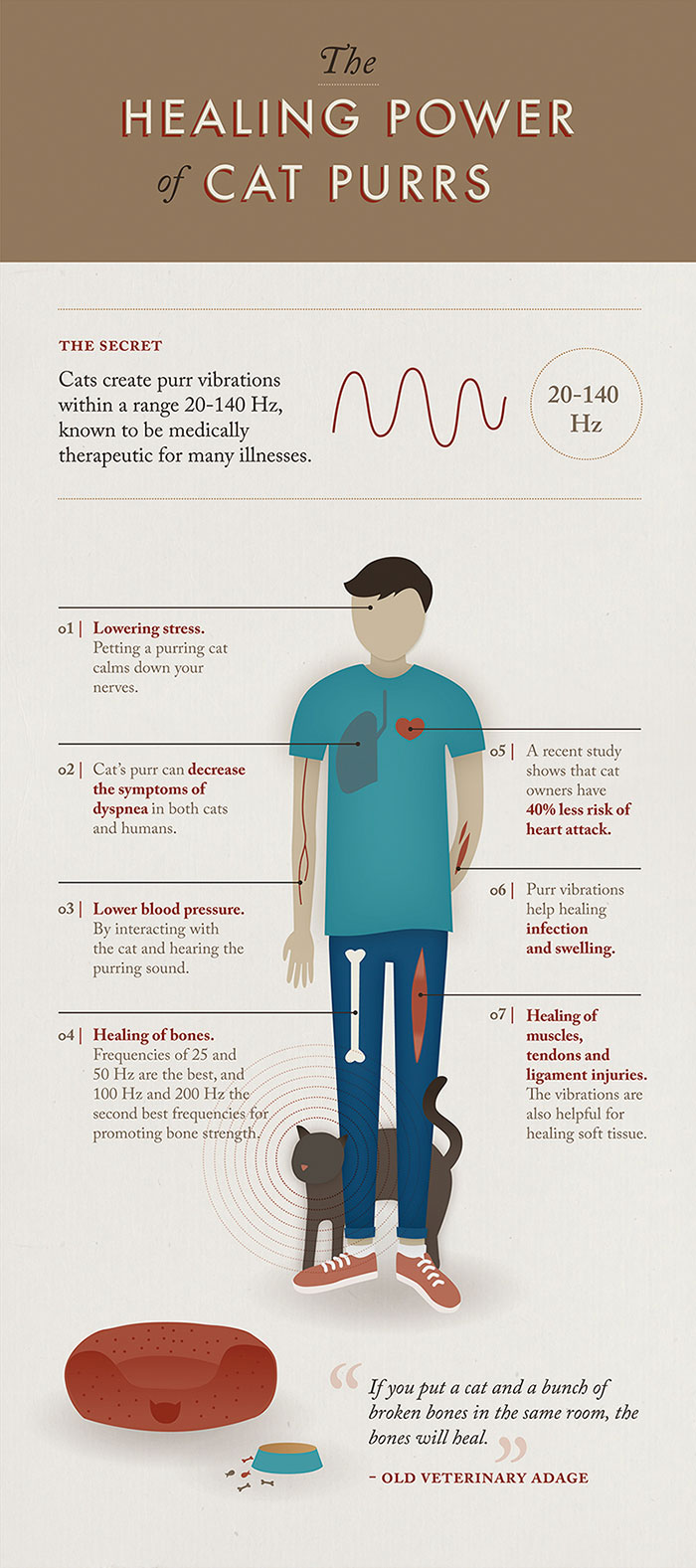 The Healing Powers Of Cat Purrs. r/coolguides