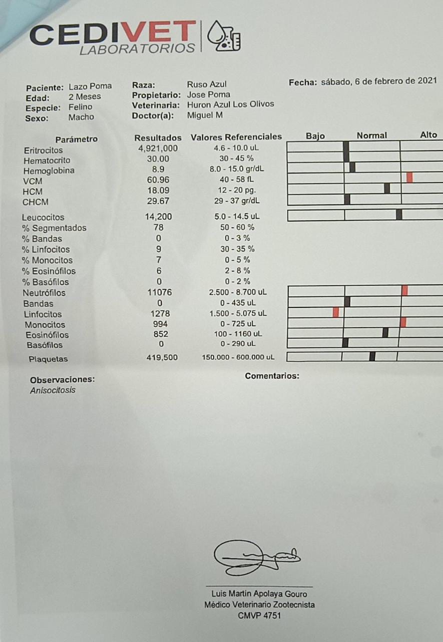 Hi, this are my cat bloodtest results I need help interpretating them