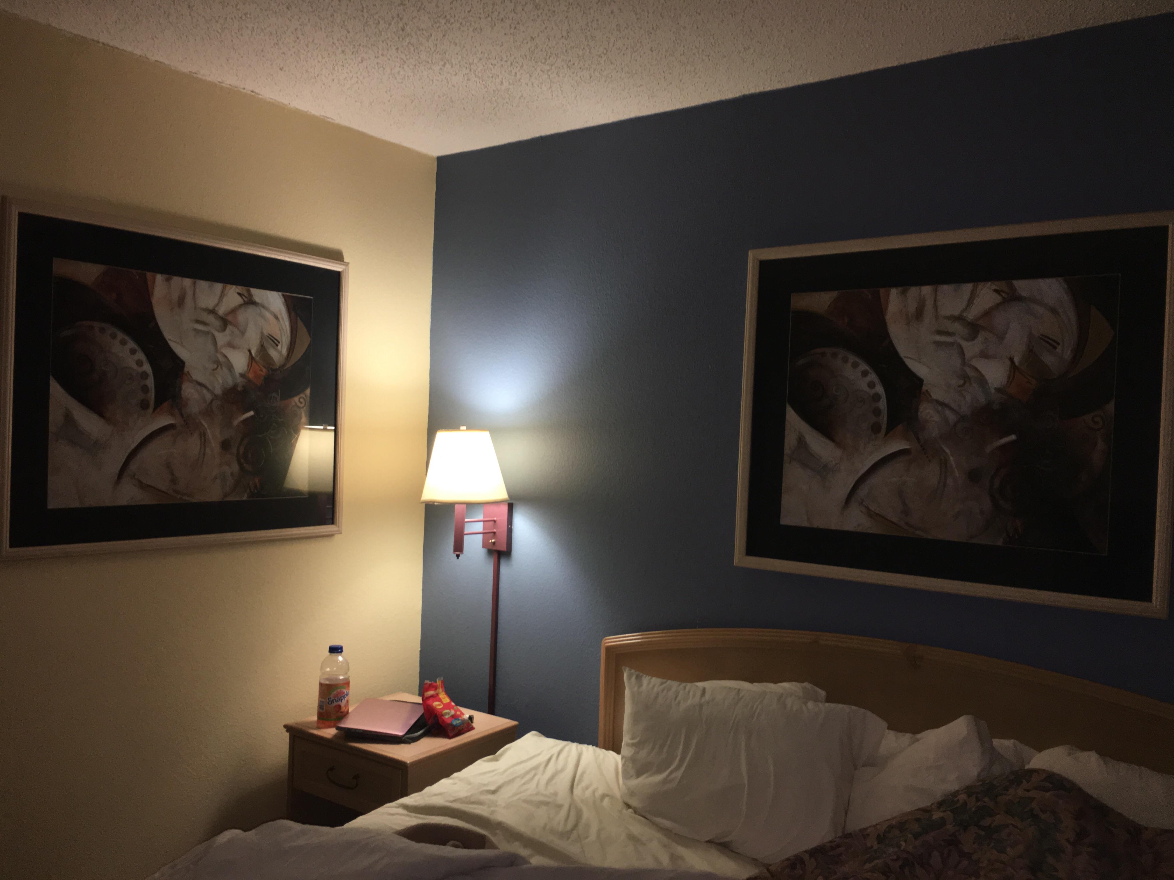 Wall inception. Two of the same painting in one hotel room. r/pics