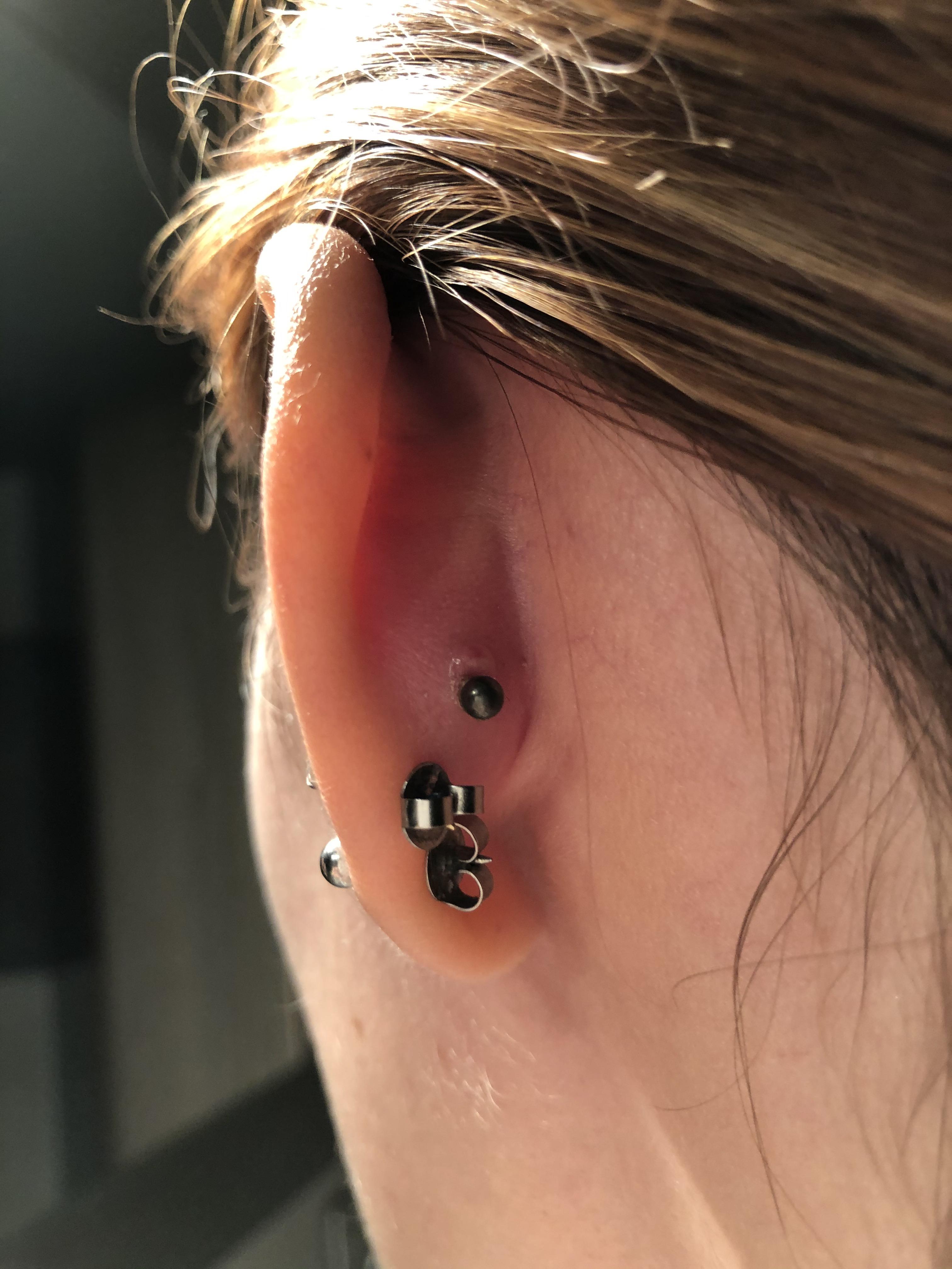 Hey y’all, I noticed this bump on the back of my conch just now, I got