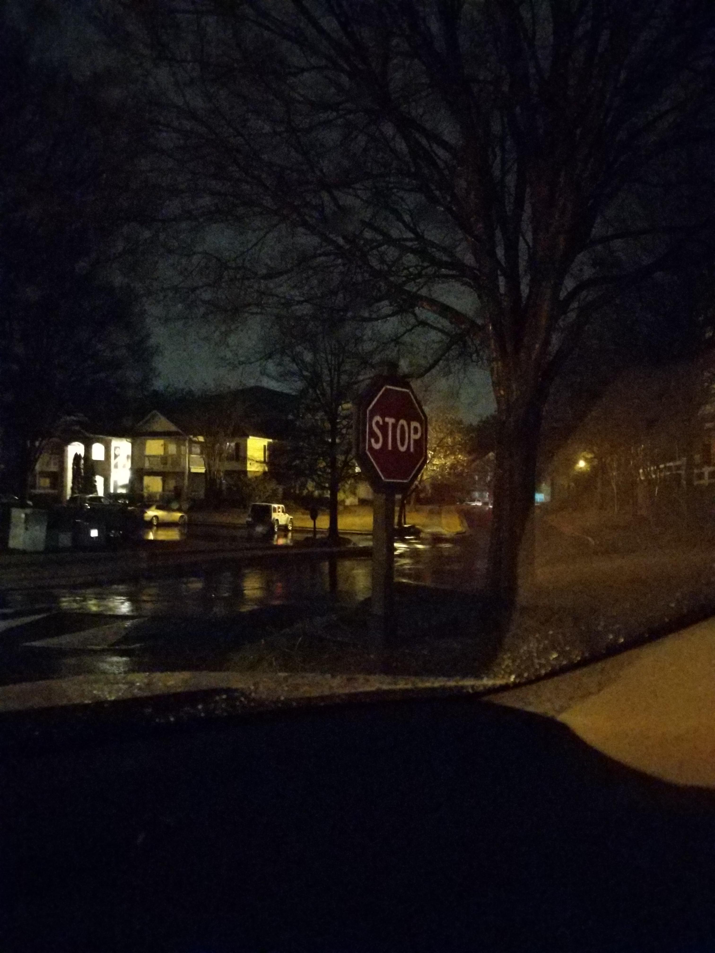 Had to stop my car for this : r/notinteresting