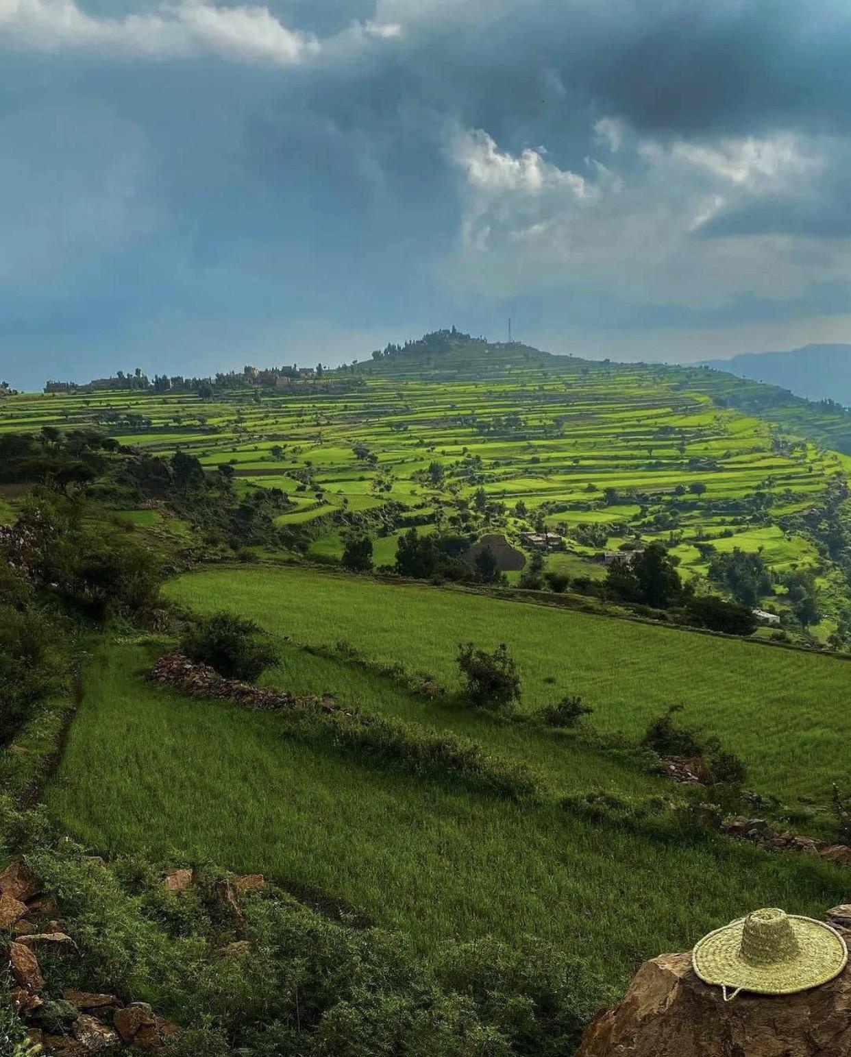 The green land Ibb, Yemen r/pics