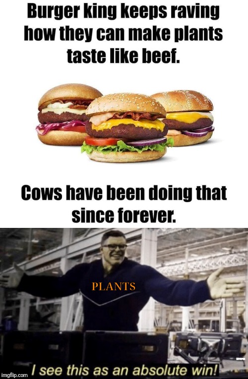 In a way, we're all vegetarians r/memes