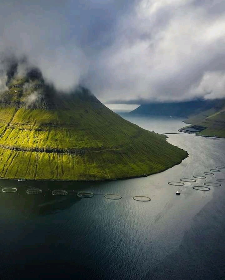 Salmon fish farms, Faroe Islands. r/interestingasfuck