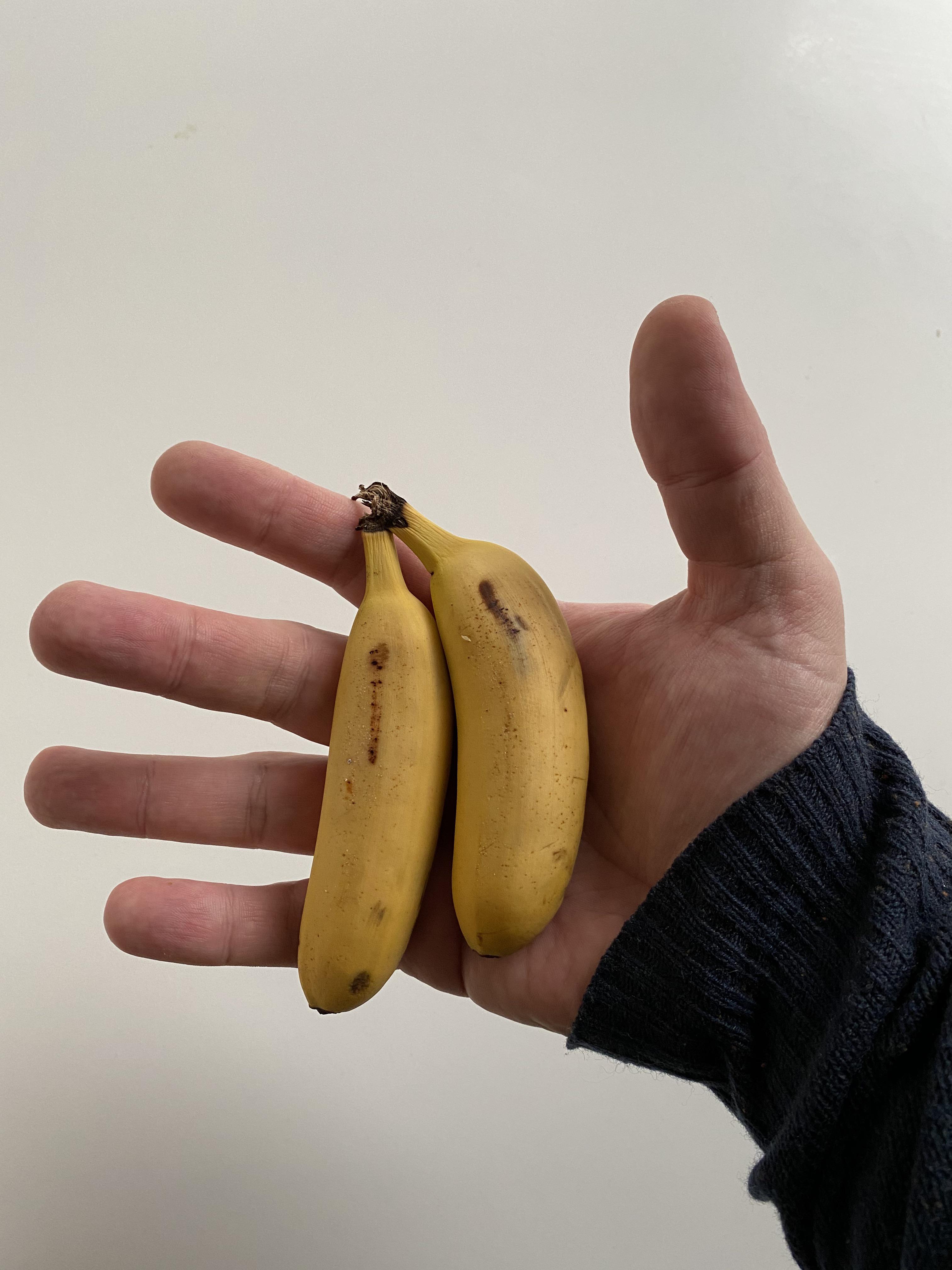 Do I have big hands? (Bananas for scale) r/pics