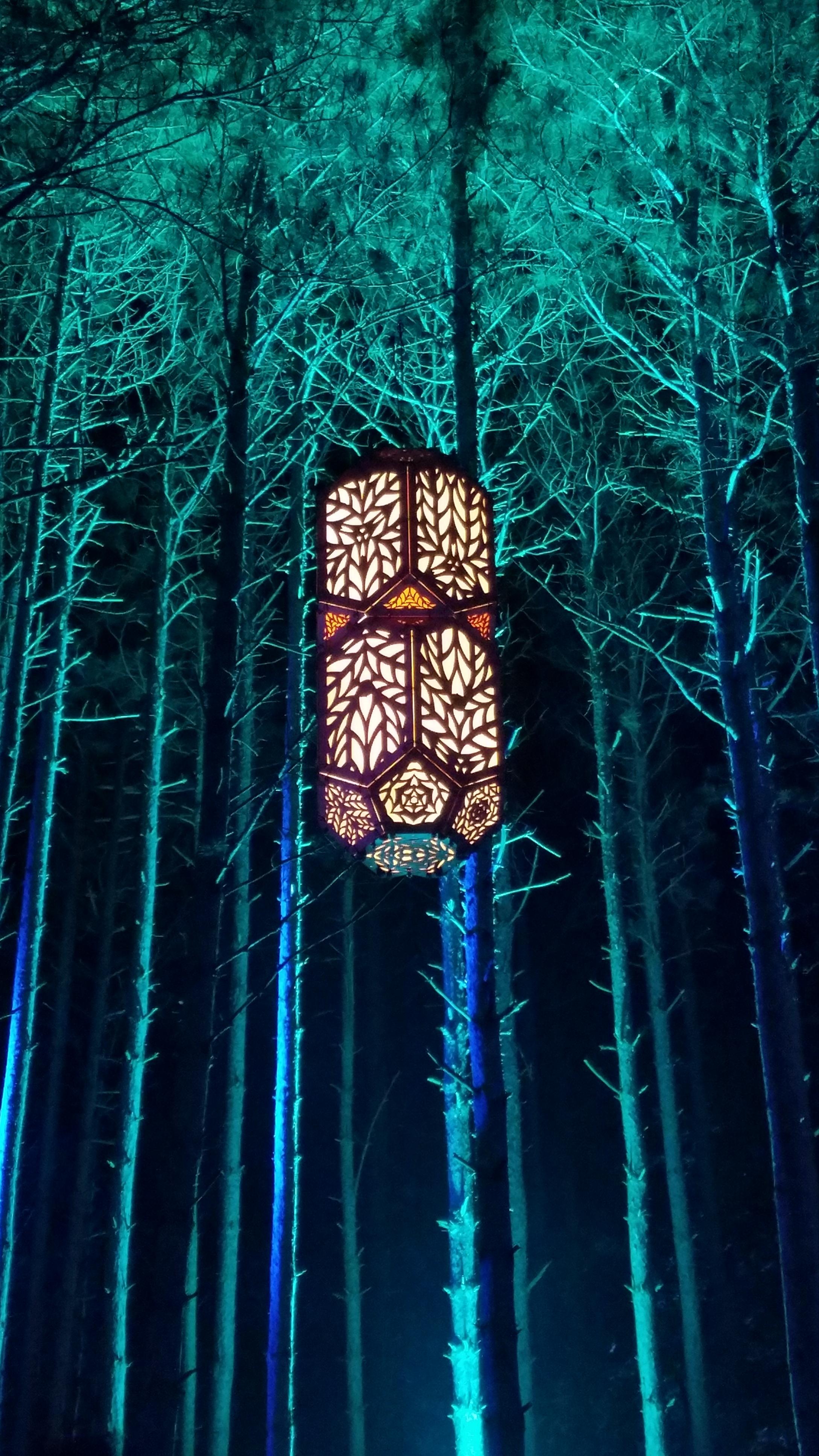 Been using this as my wallpaper ever since W1 ElectricForest