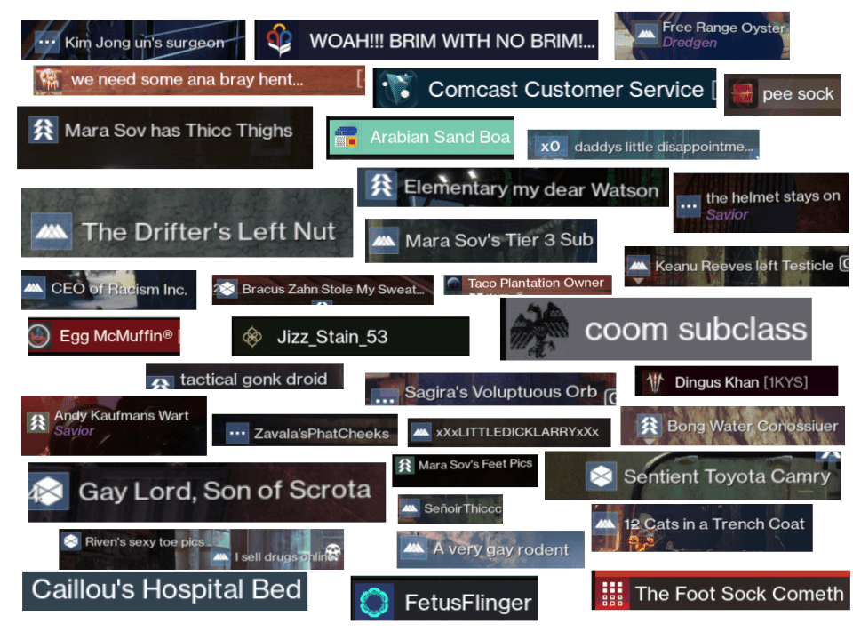 some amusing names that have popped up since the transfer r/destiny2
