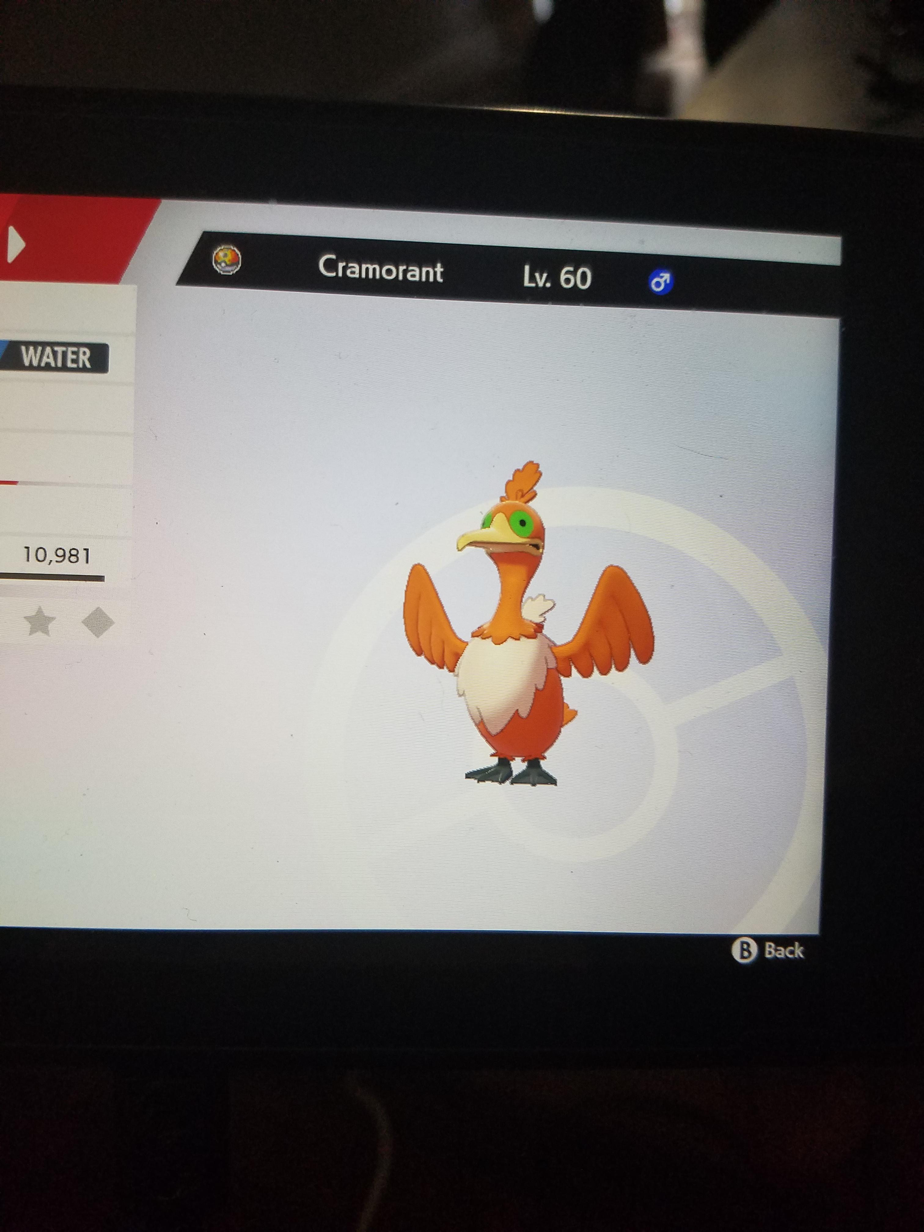 [Gen VIII] My FIRST random shiny of Swsh! Full odds, no shiny charm