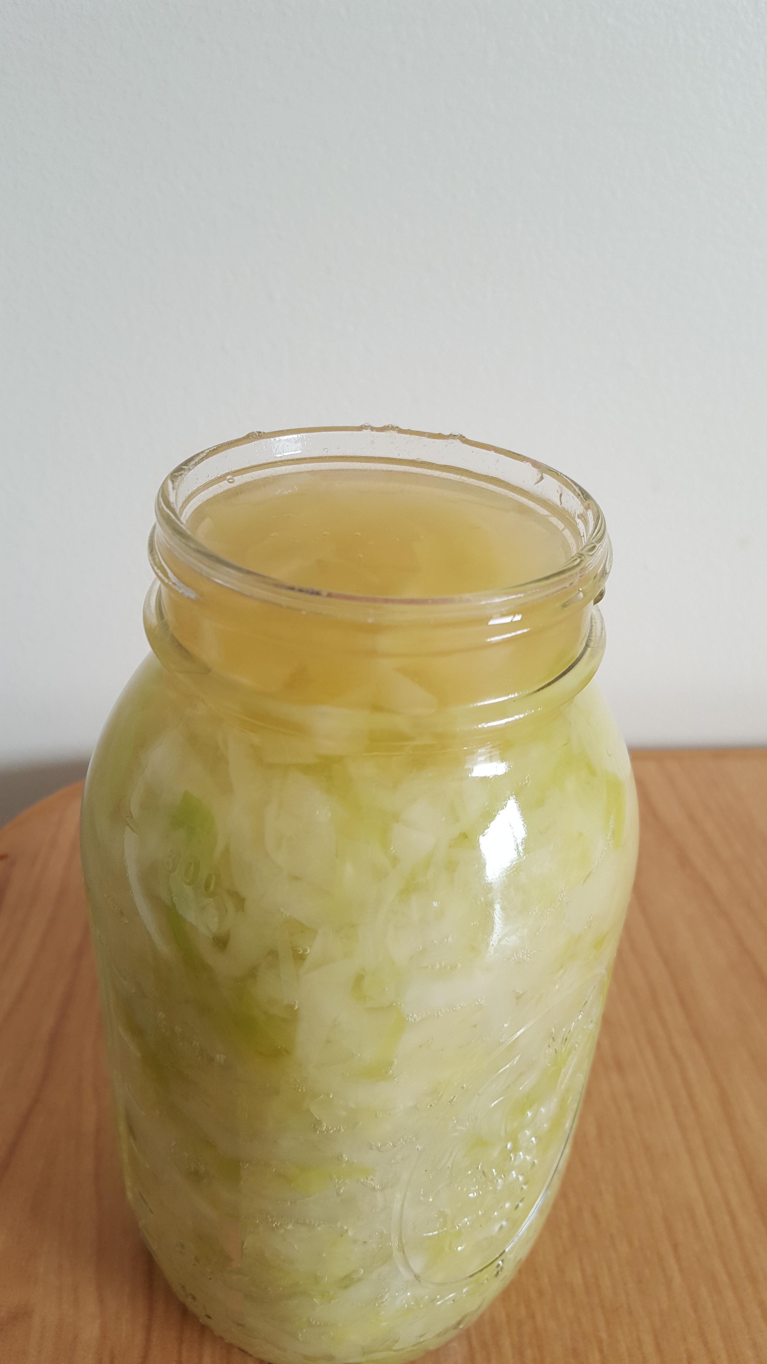 Is this safe? : r/fermentation