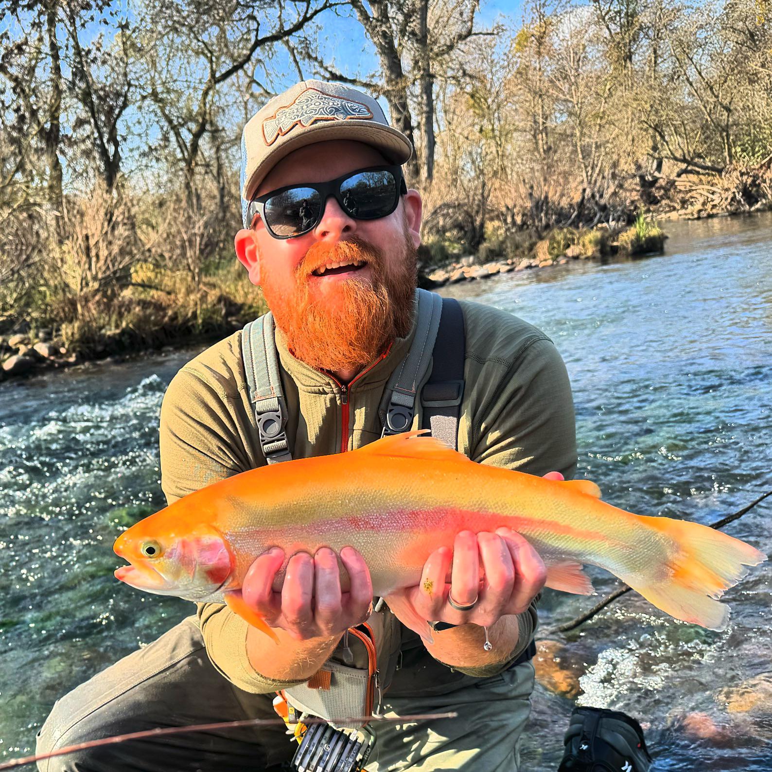 Central Ca Steelhead…. r/flyfishing