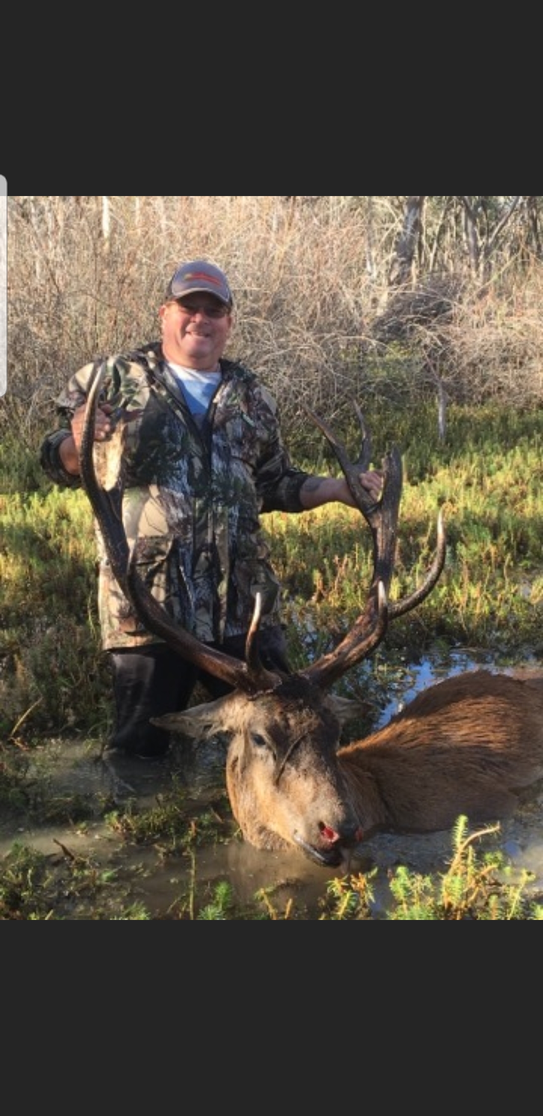 Awesome 12 point red deer from south eastern australia. r/Hunting