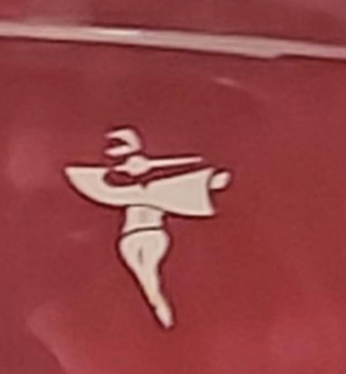 Anyone know what this bumper sticker means? I’ve never seen something