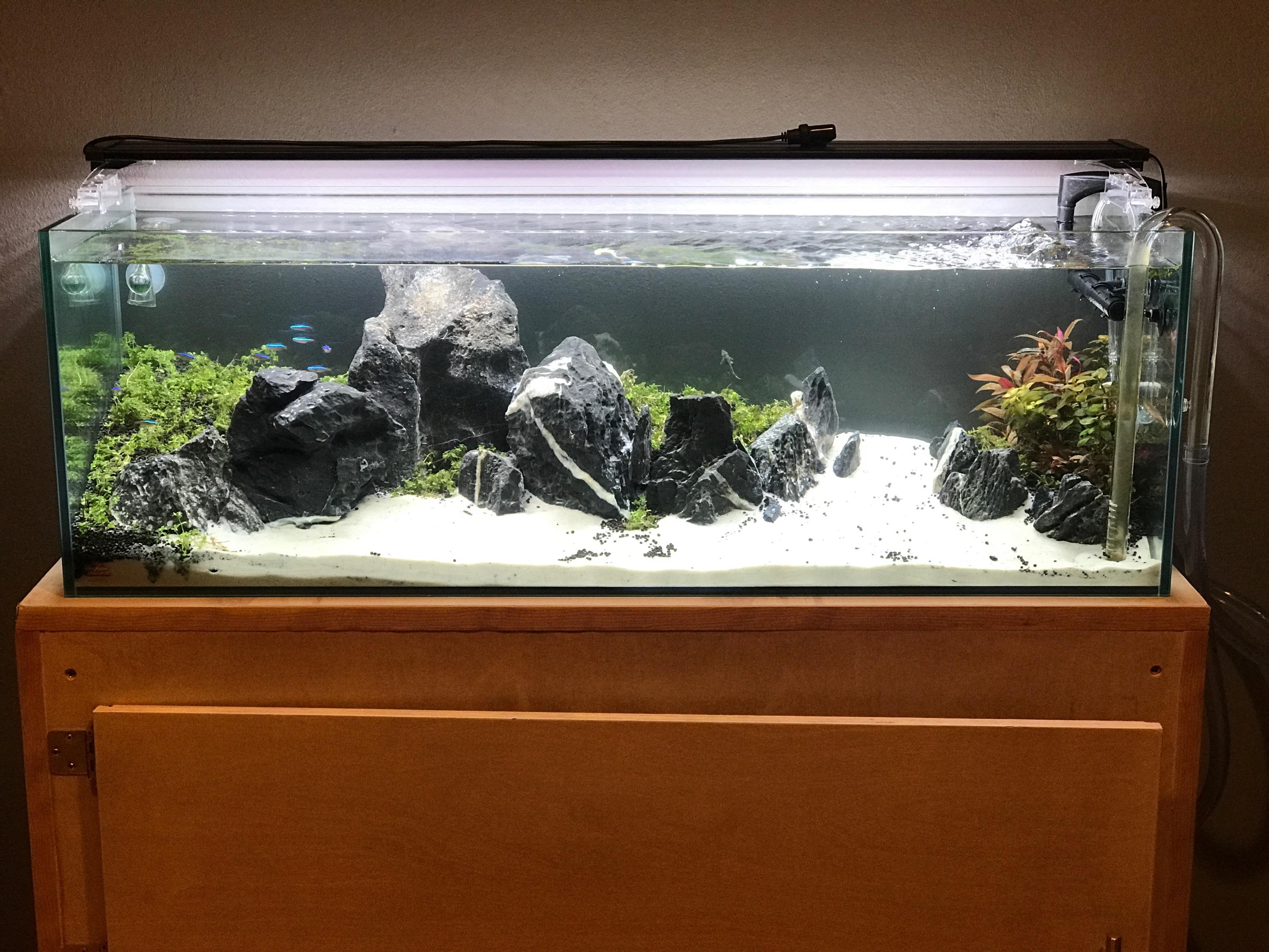 30 Gallon Tall Fish Tank