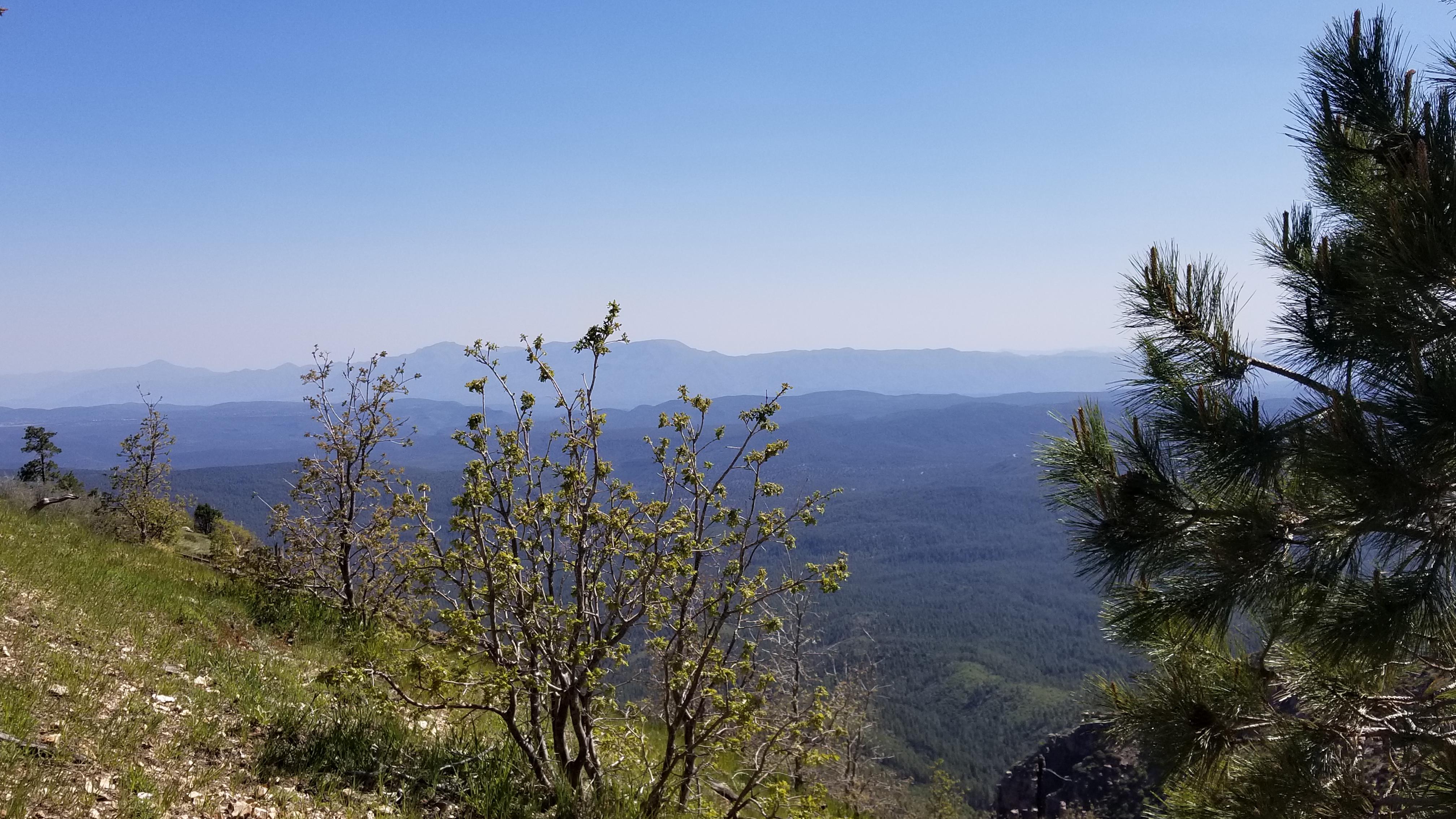 Forest Road 300 Camping 17+ IDN Camping