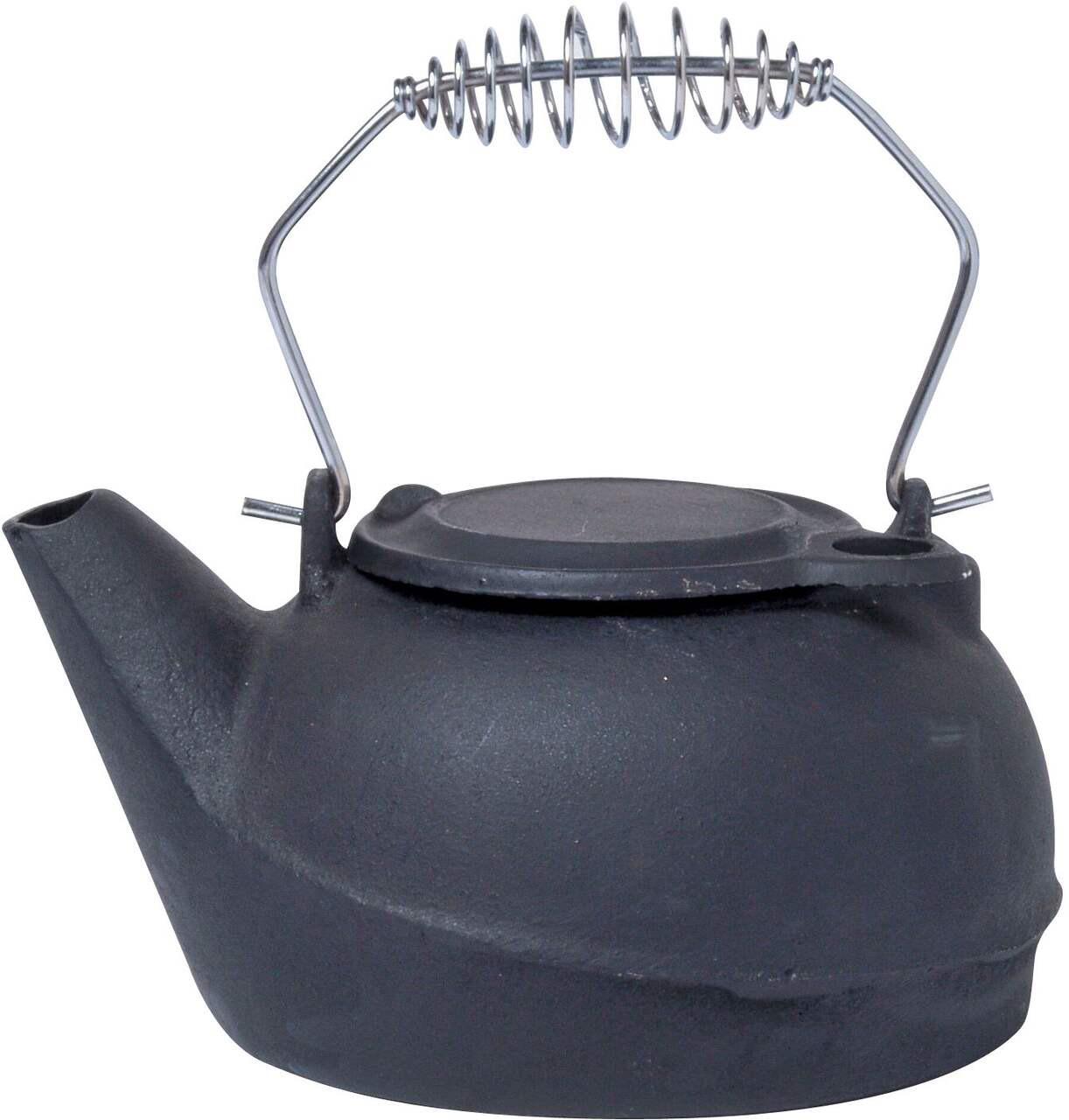 Does anyone use a cast iron humidifier? Any downsides to this? r