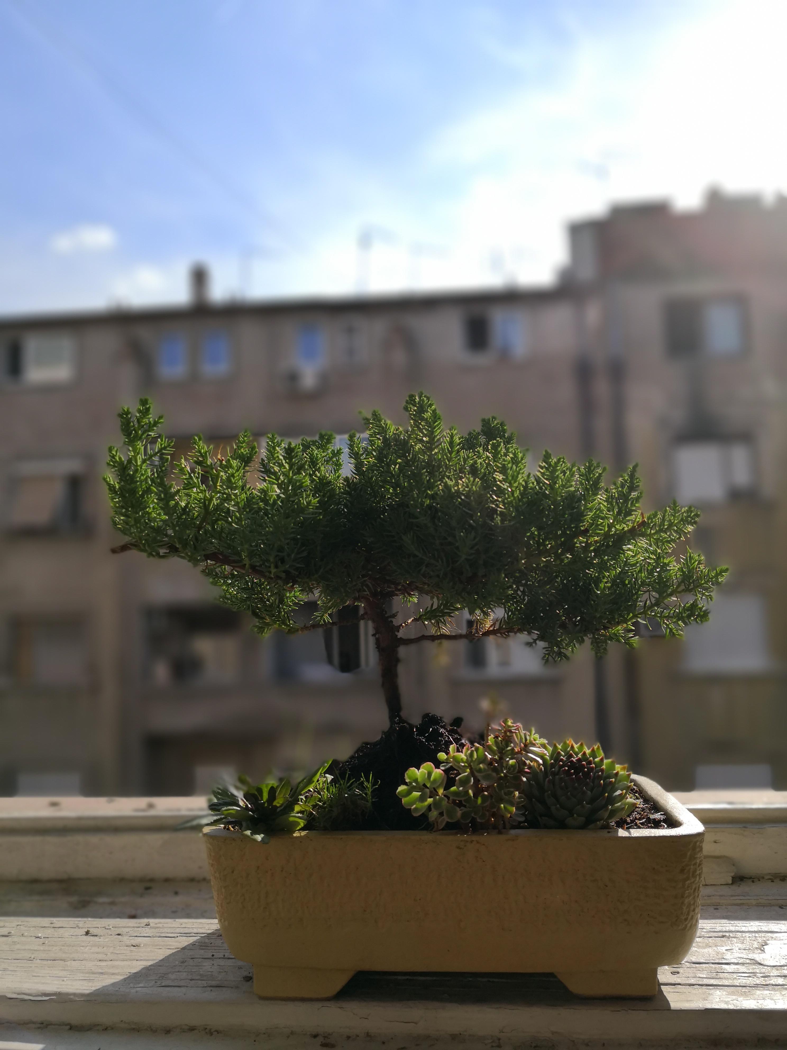 Bought my girlfriend a gift; What do you think? Do you guys give names