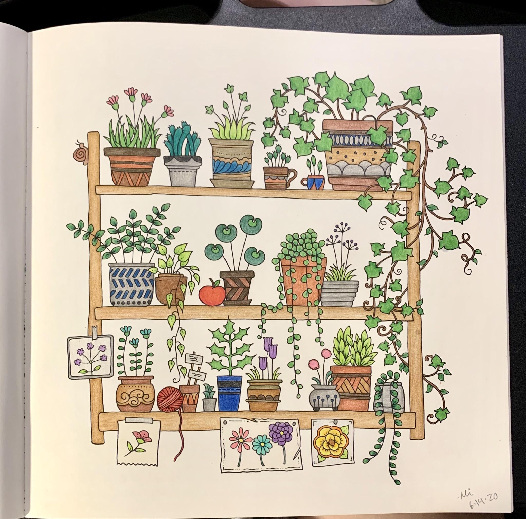 World of flowers coloring book by Johanna Basford! By far my fav book