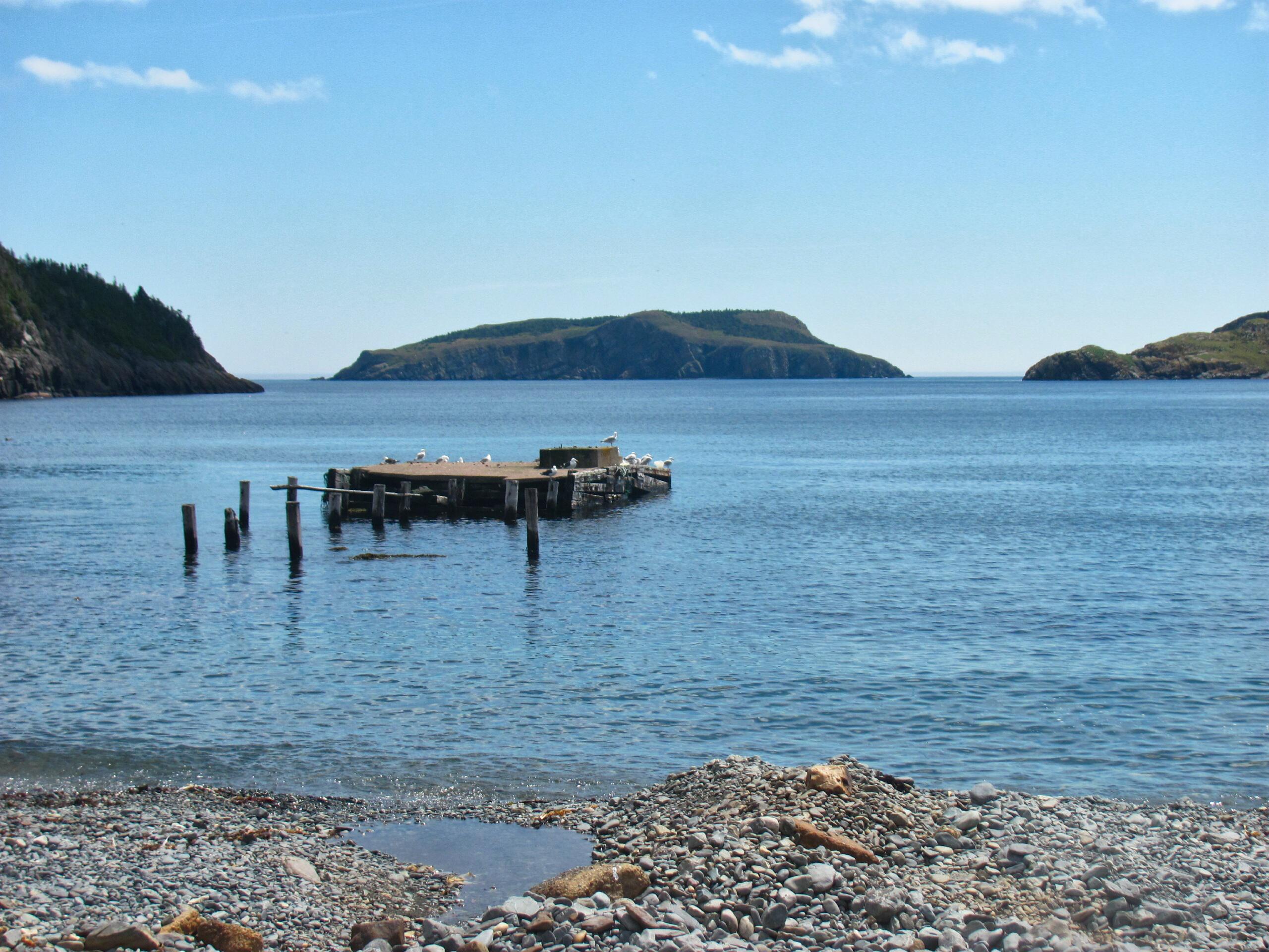 Tors Cove r/newfoundland