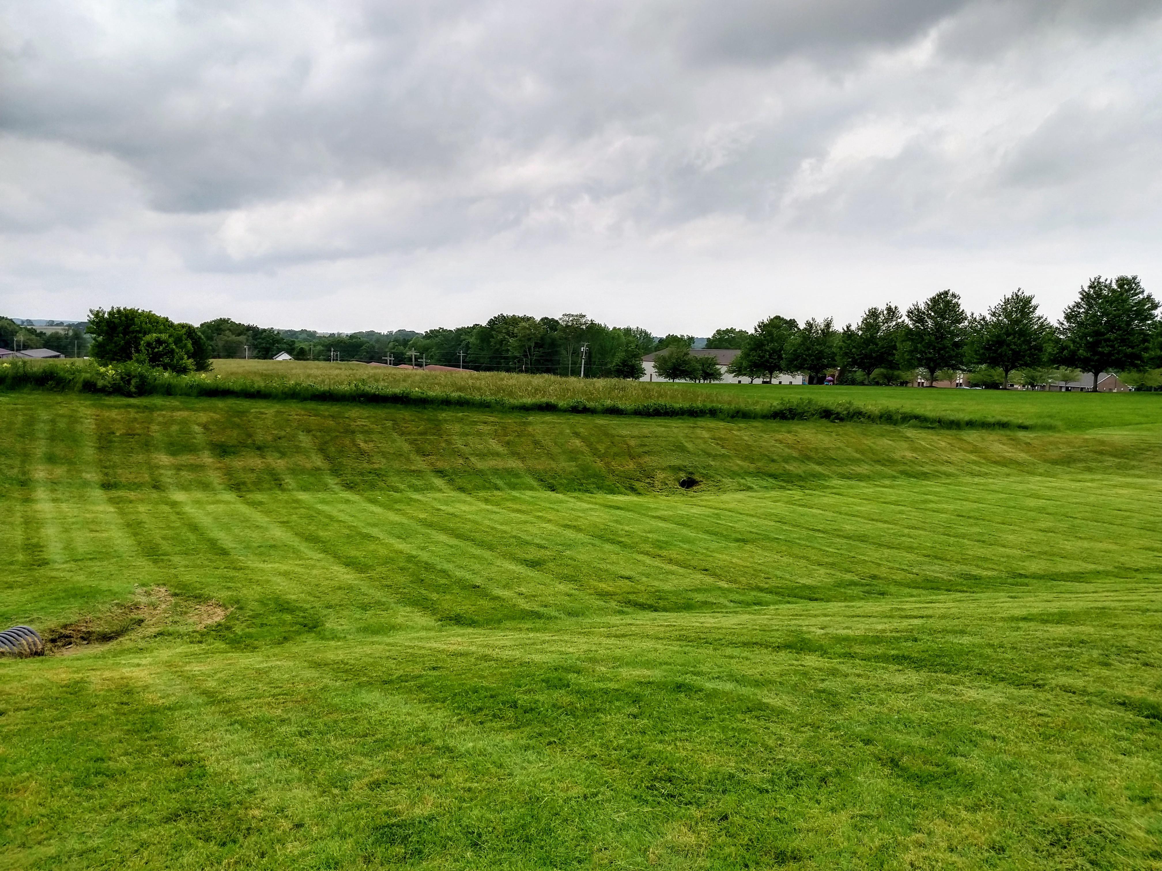 A basin in the back of a housing development r/lawnporn