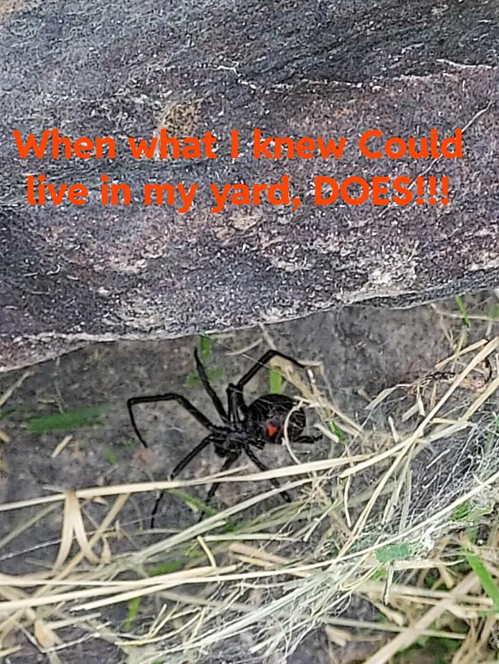 Might be ISO Landscaper : r/SaltLakeCity