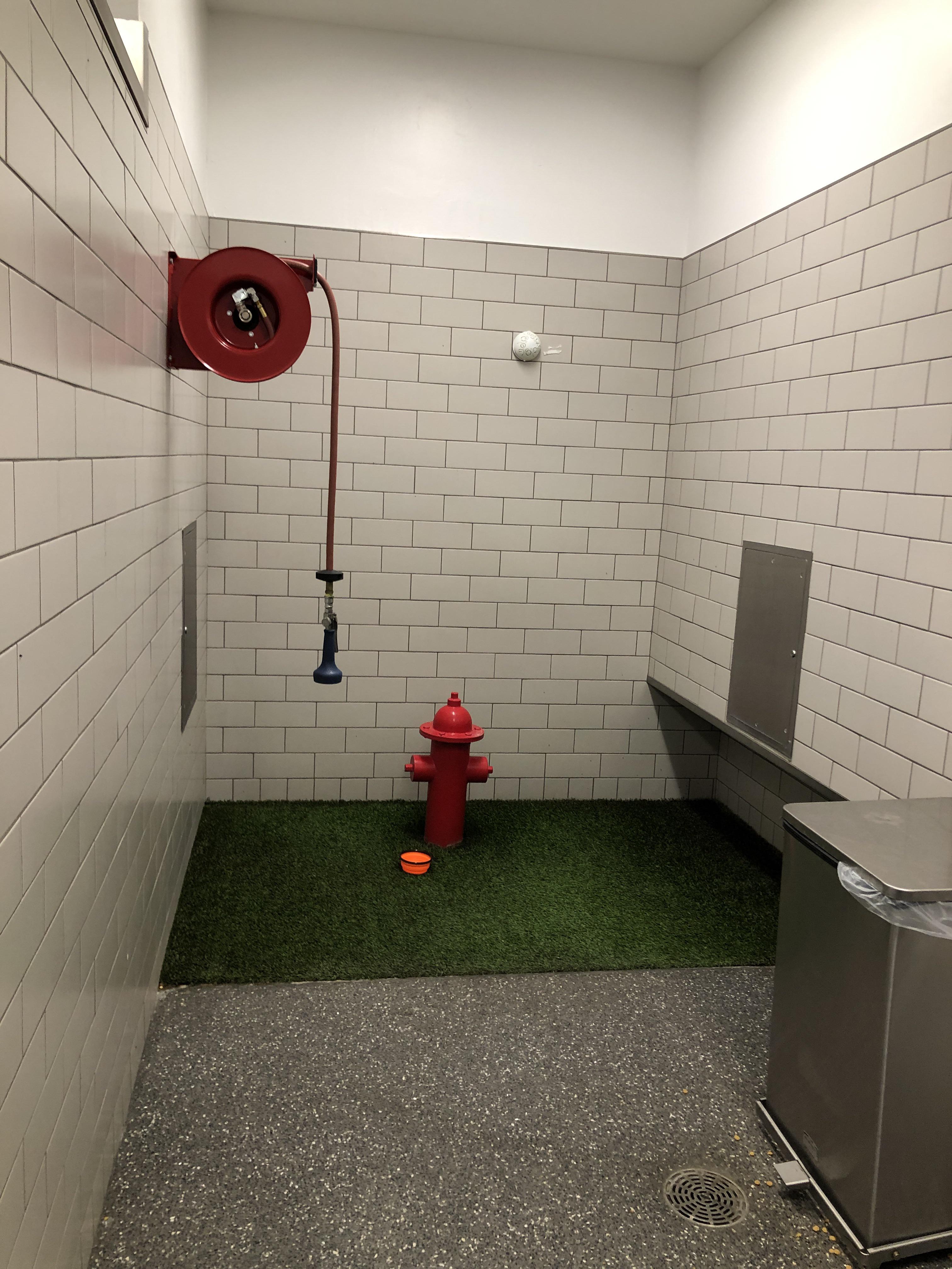 Where Do Dogs Go To The Bathroom In An Airport