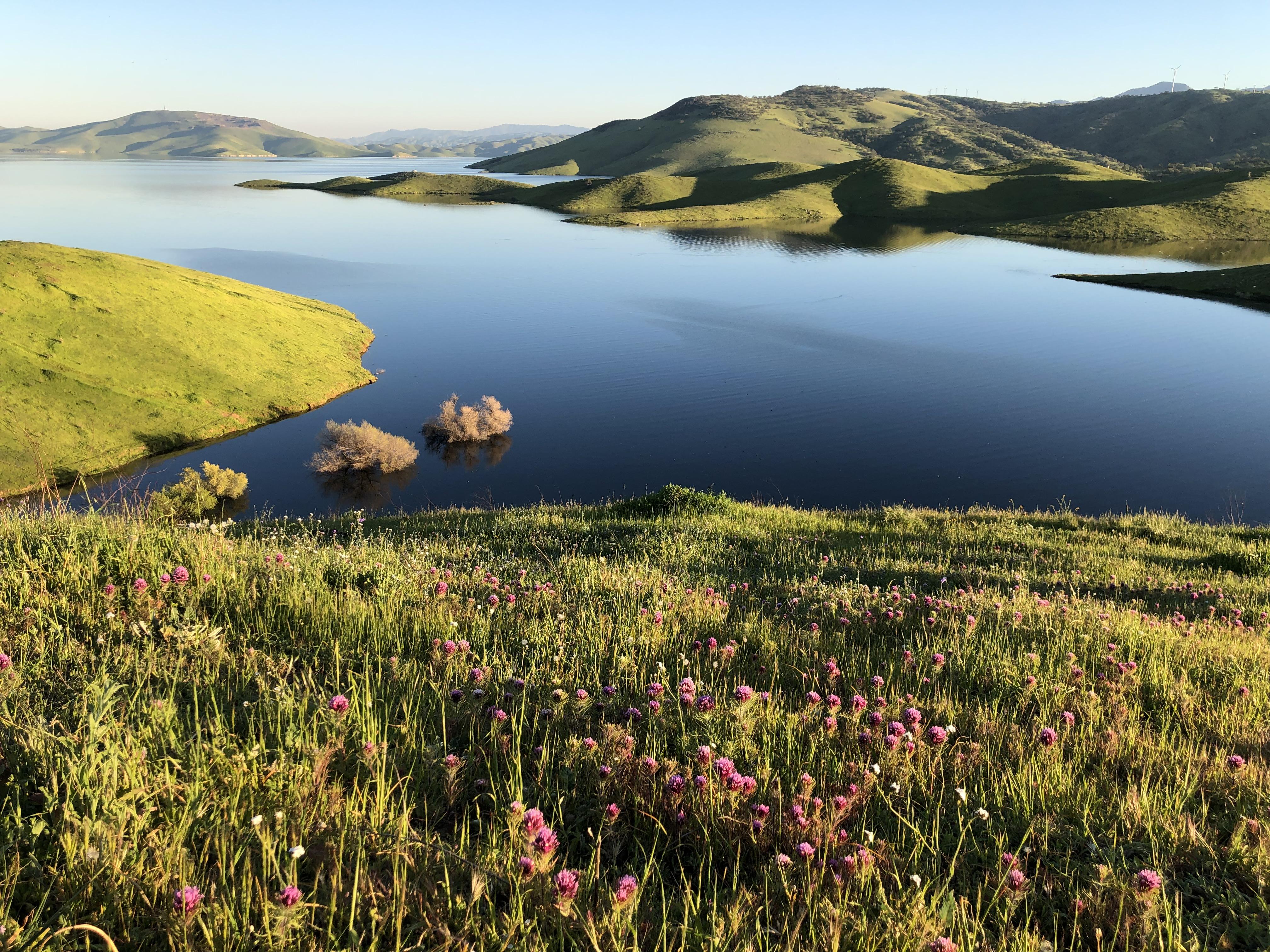 Finally a sunny weekend in Bay Area [San Luis Reservoir][OC] r/bayarea