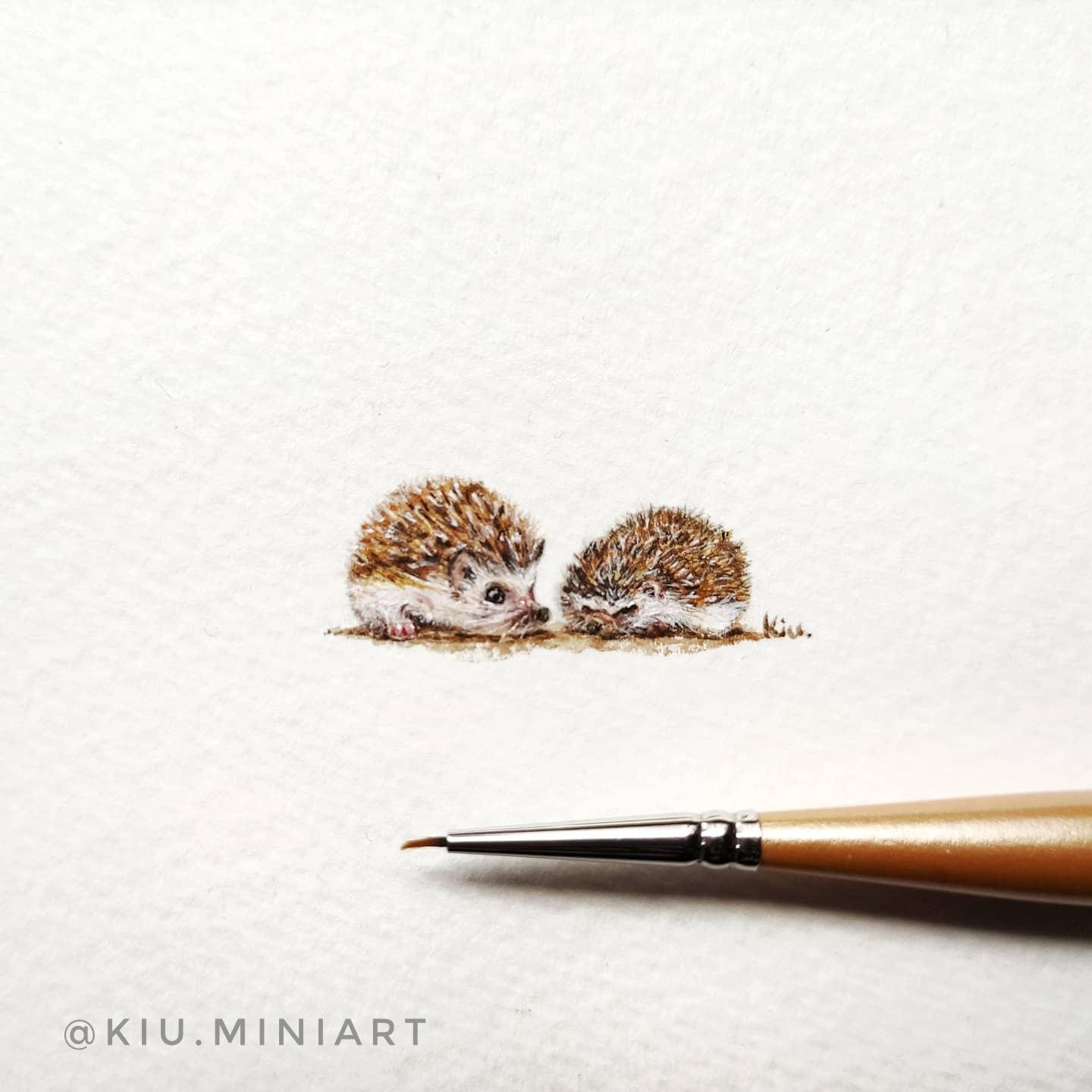 Hello I painted these mini Hedgehogs with watercolor. They are 30 X 12