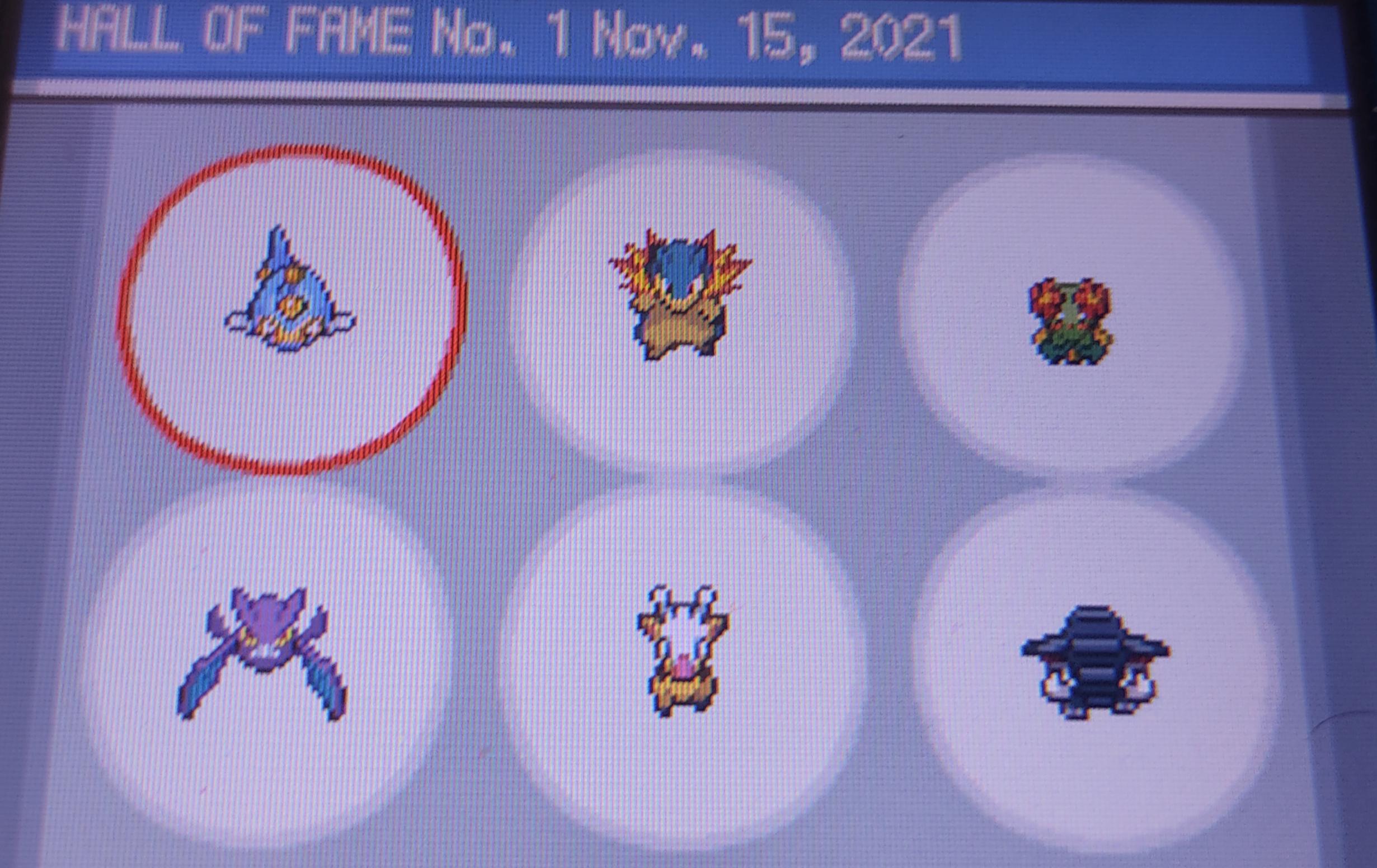 Wanted to share my team for a normal playthrough i did of heartgold 2