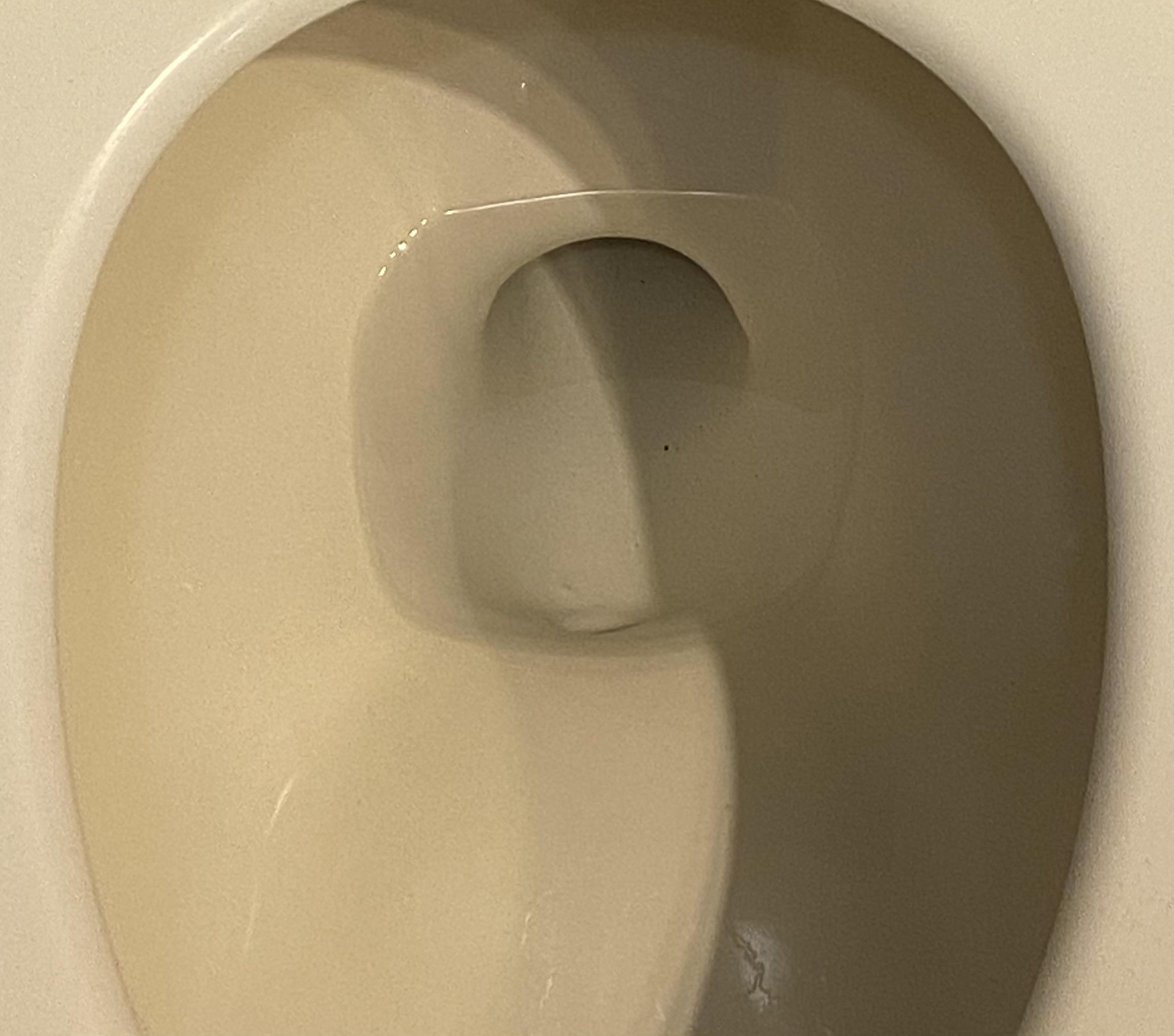 Toilet bowl won’t fill anymore r/Plumbing