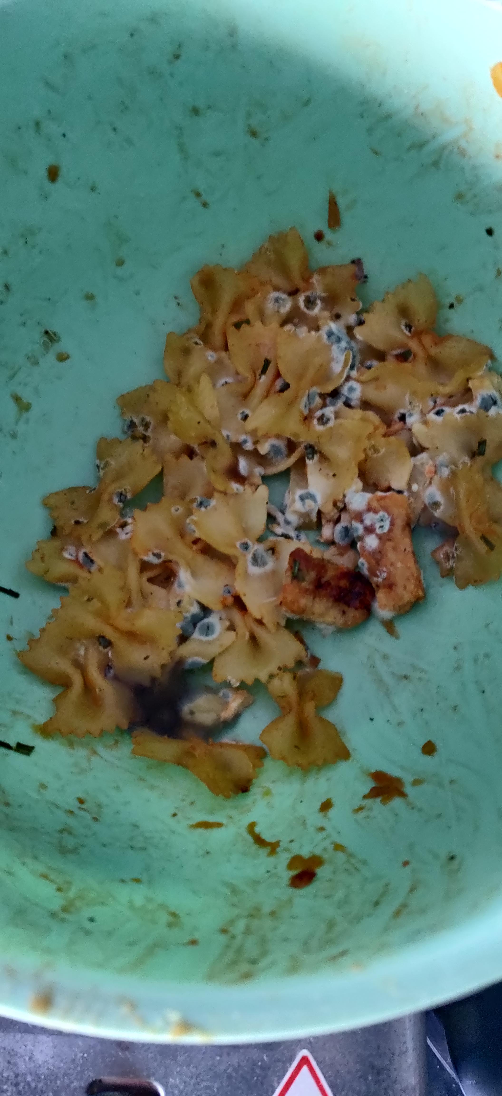 Pasta a la mold r/MoldlyInteresting