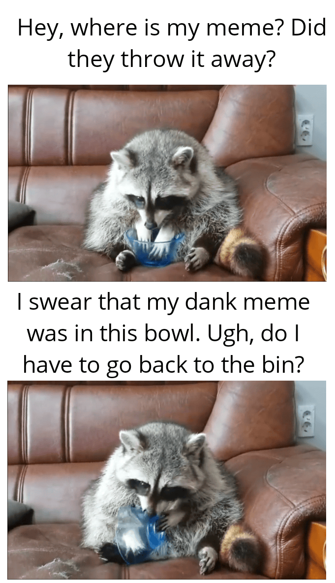 Please don't tell him that he needs to go back dankmemes