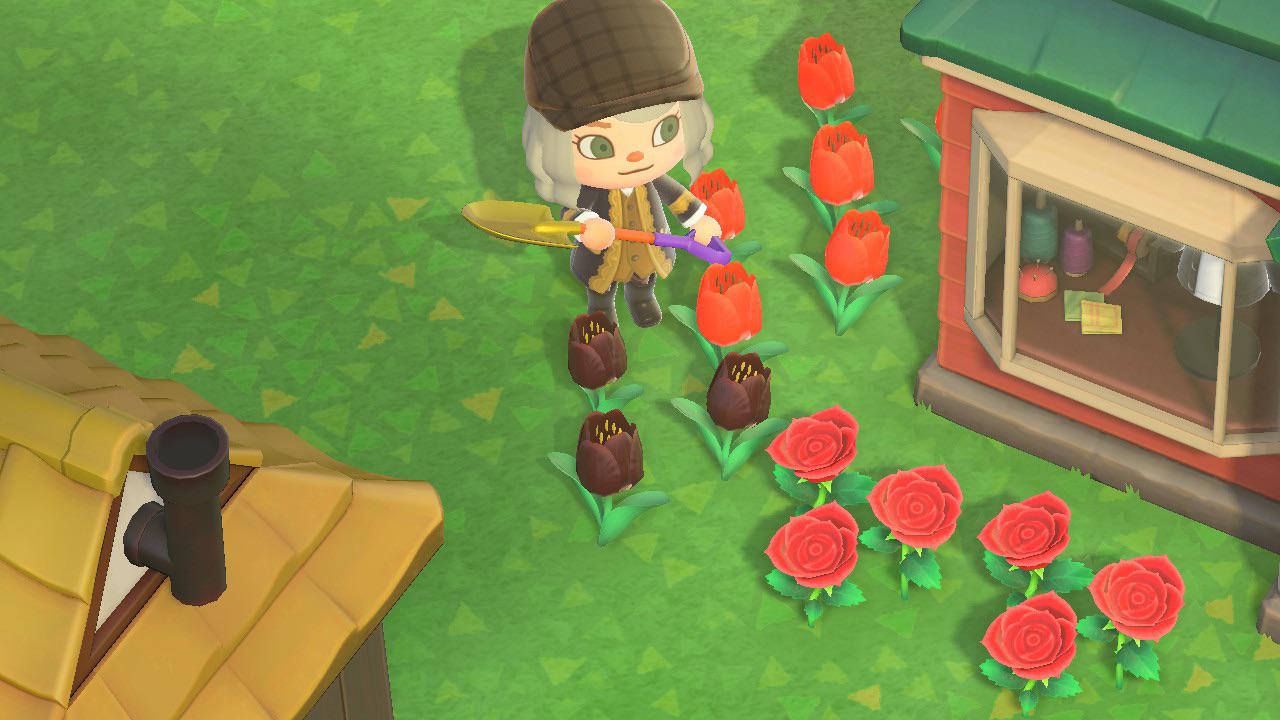 I think I accidentally bred my first flower? r/AnimalCrossing