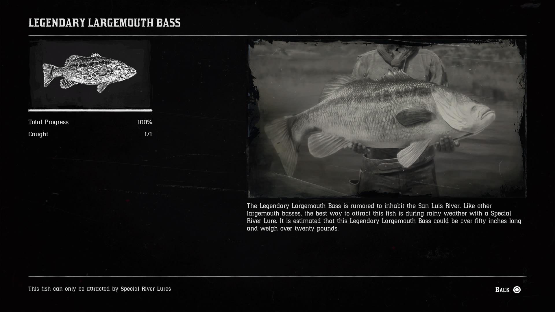 Fishing Mission r/RDR2