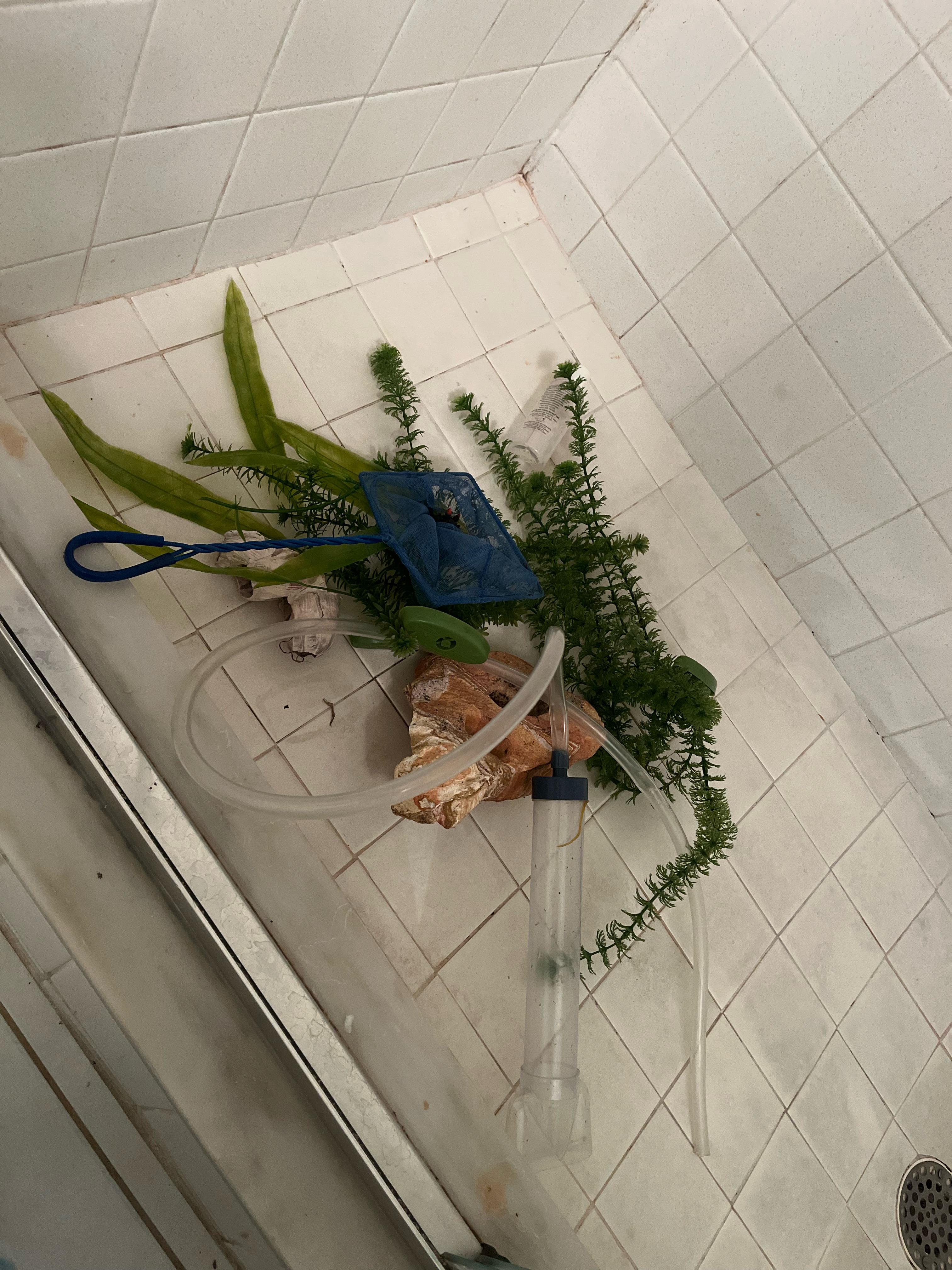 How to clean r/Aquariums