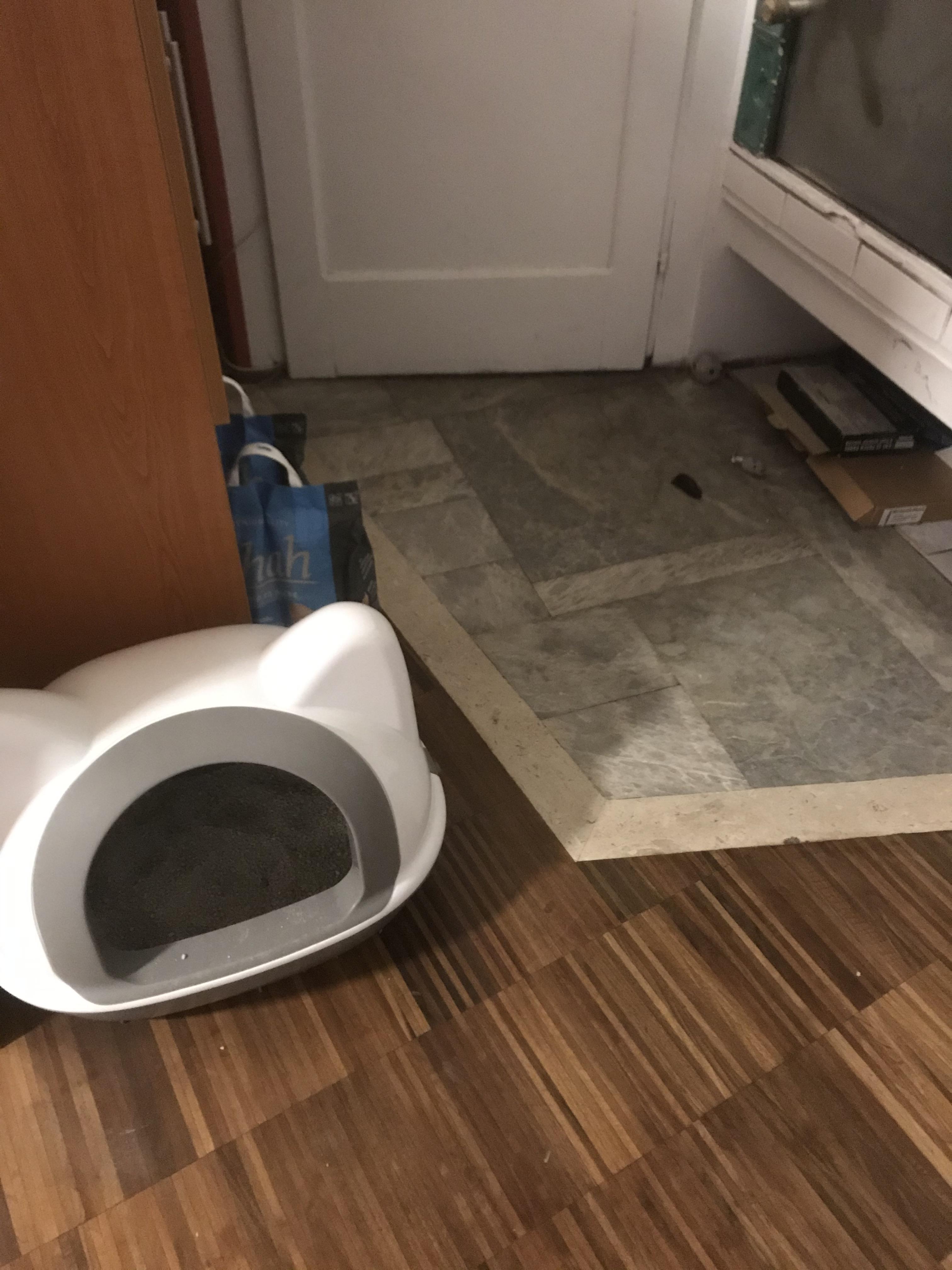 Why does my cat poop outside litter box, 5m old,healthy, when he poops