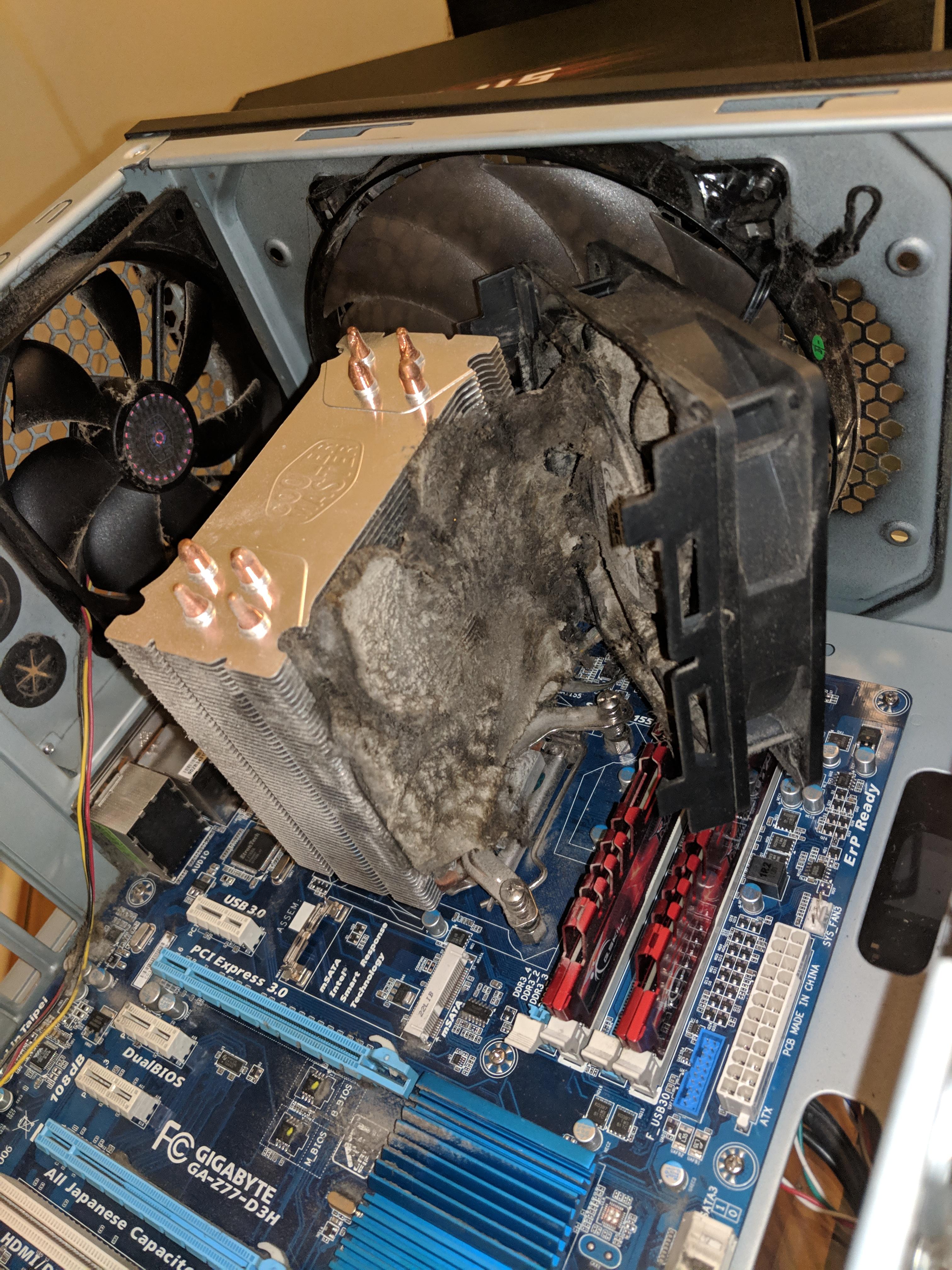 Girlfriend "Why is my fps dropping in Overwatch?" r/techsupportgore