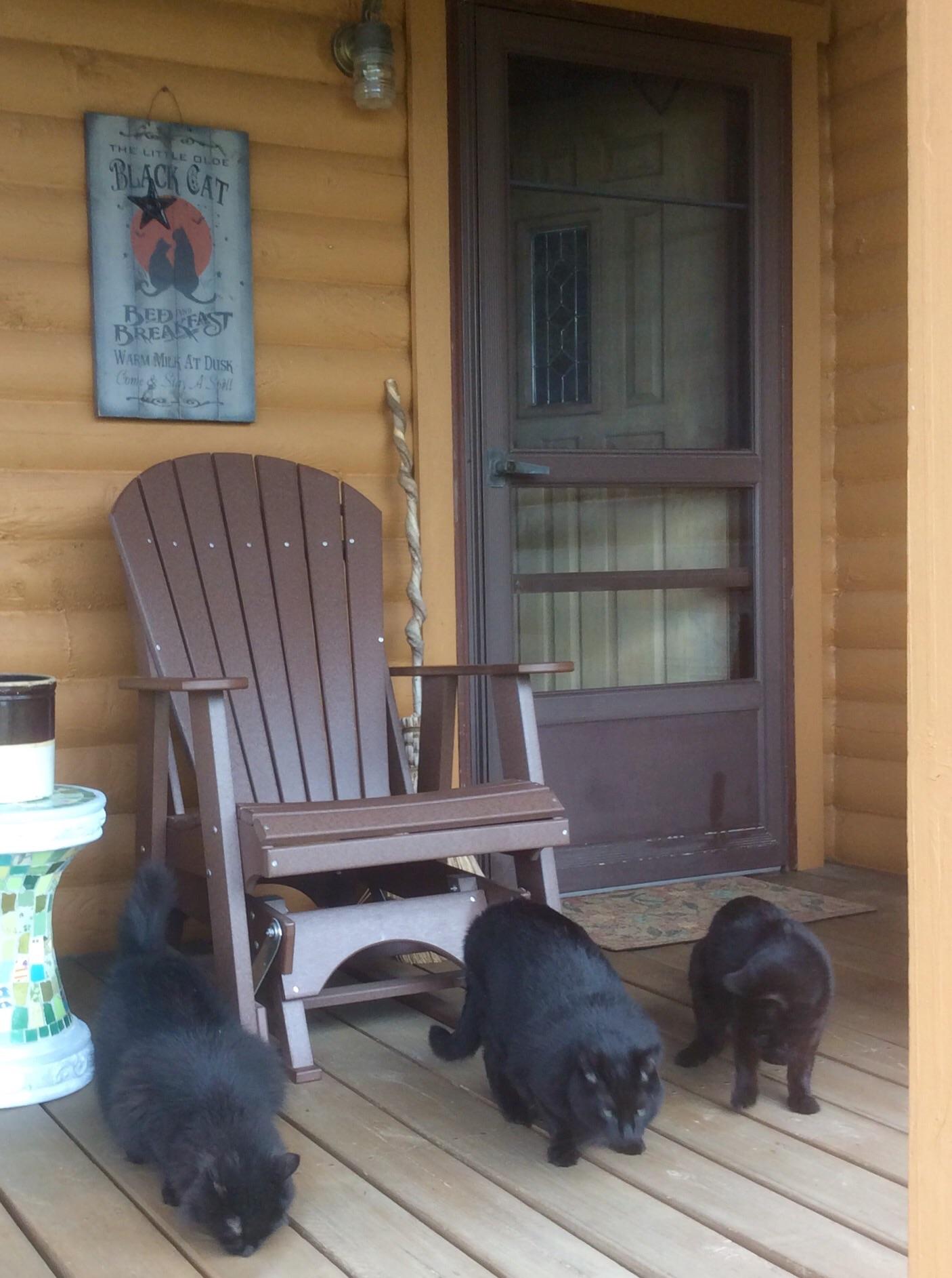 For those that can’t make out the sign in the back it says Black Cat