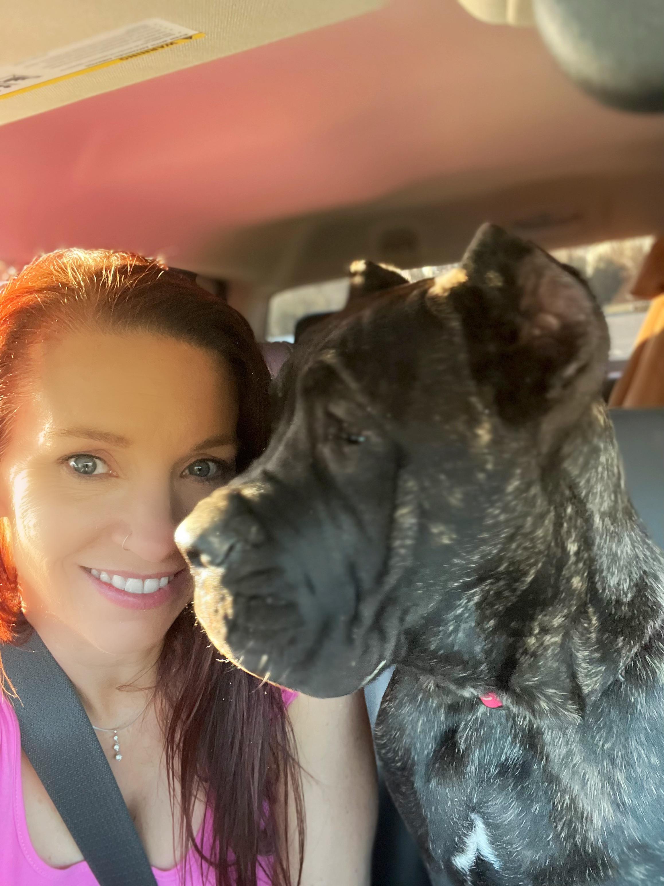 My Diavolo😍😍😍 He’s my first cane corso, definitely won’t be the last