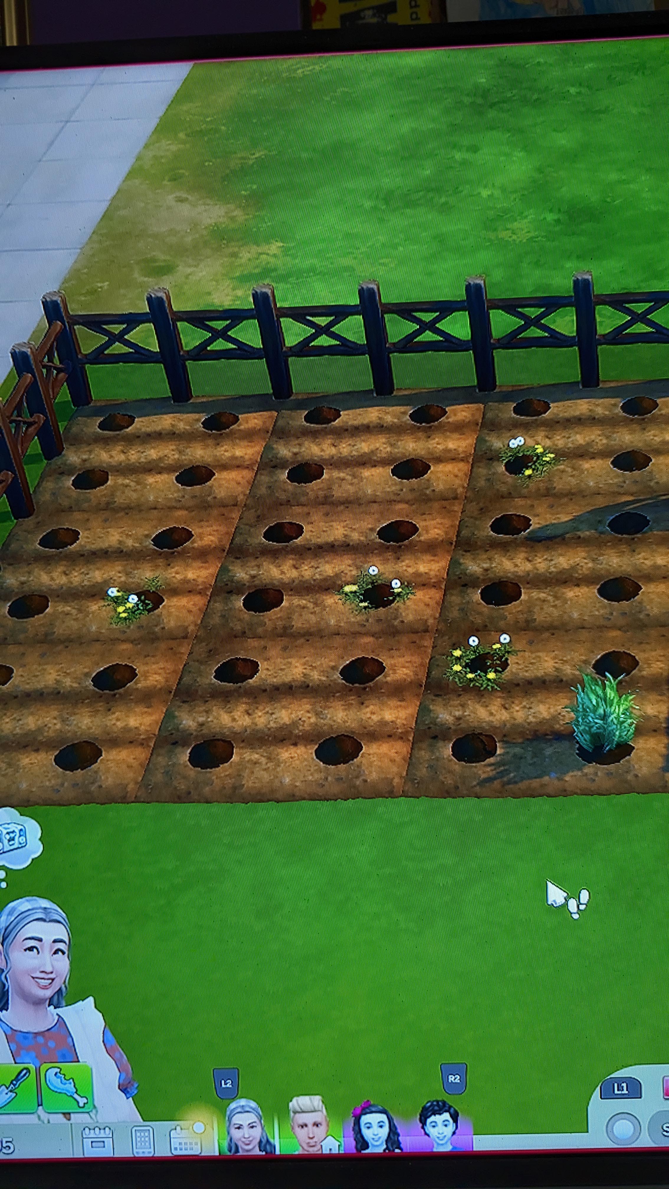 Why do my plants keep disappearing!?😭 Is there a way I can fix this