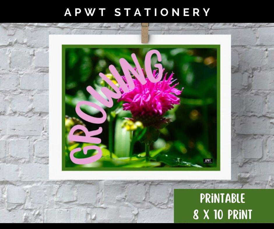 Digital 8 x 10 Print (Digital Download) 4.99 From APWT Stationery