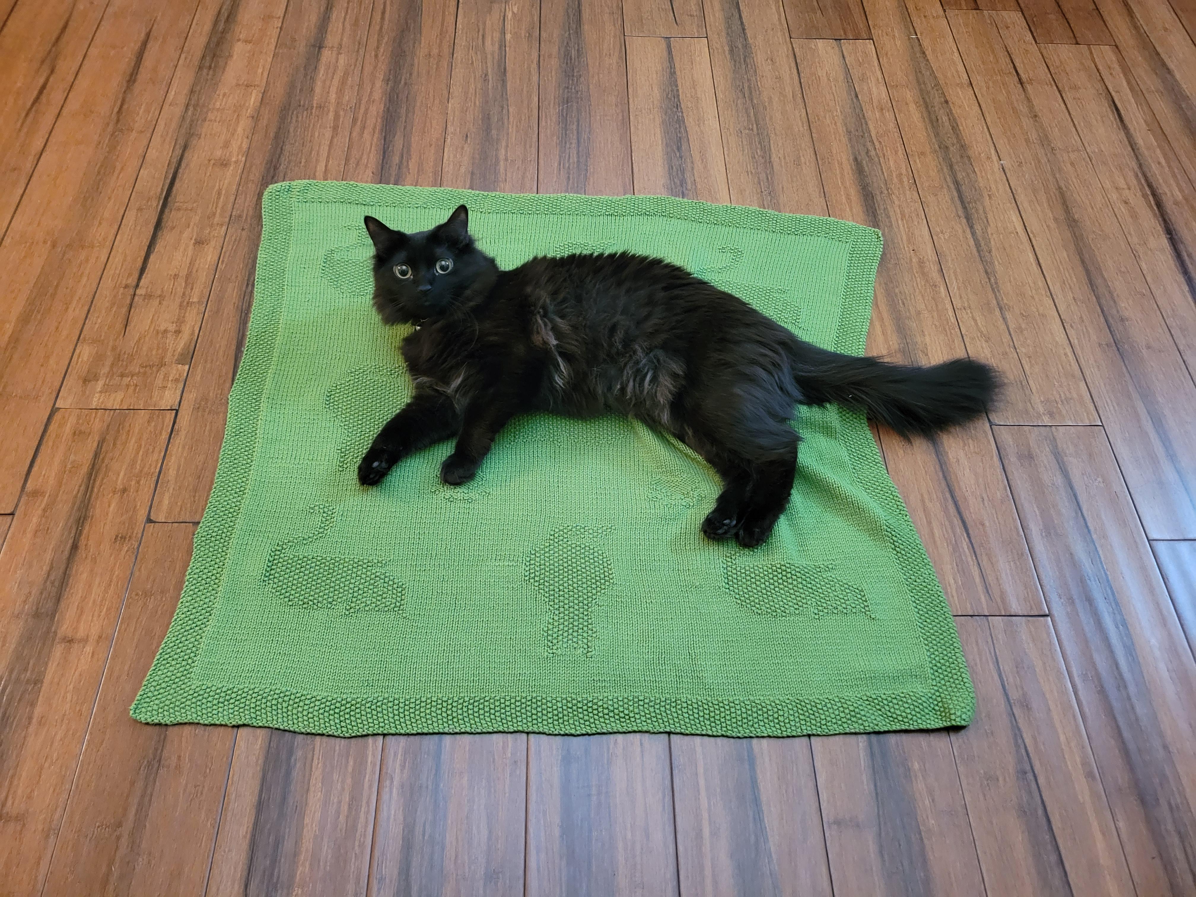 My 11 month old kitten had to test out the kitten themed baby blanket I made for a friend. She