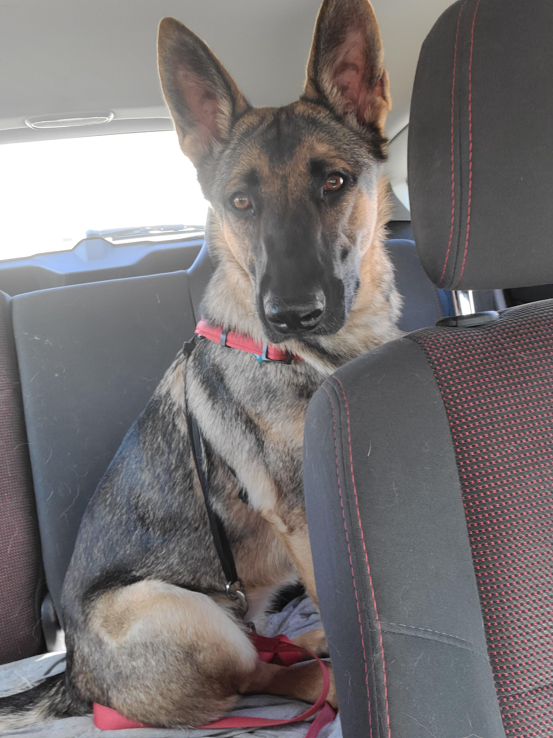 Posted yesterday about my baby throwing up blood. Thanks to everyone