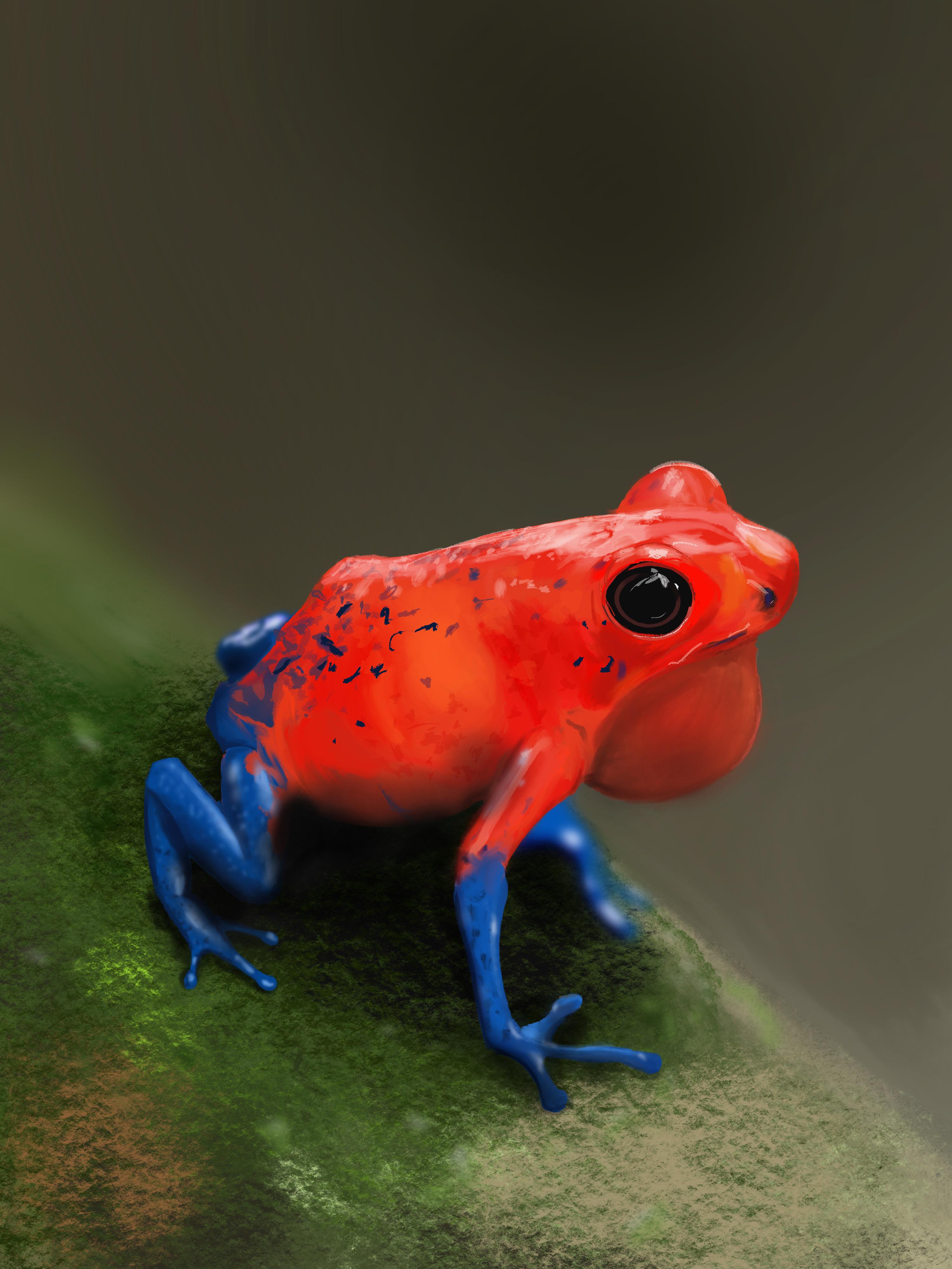 202 best Poison Dart Frog images on Pholder Nature Is Fucking Lit