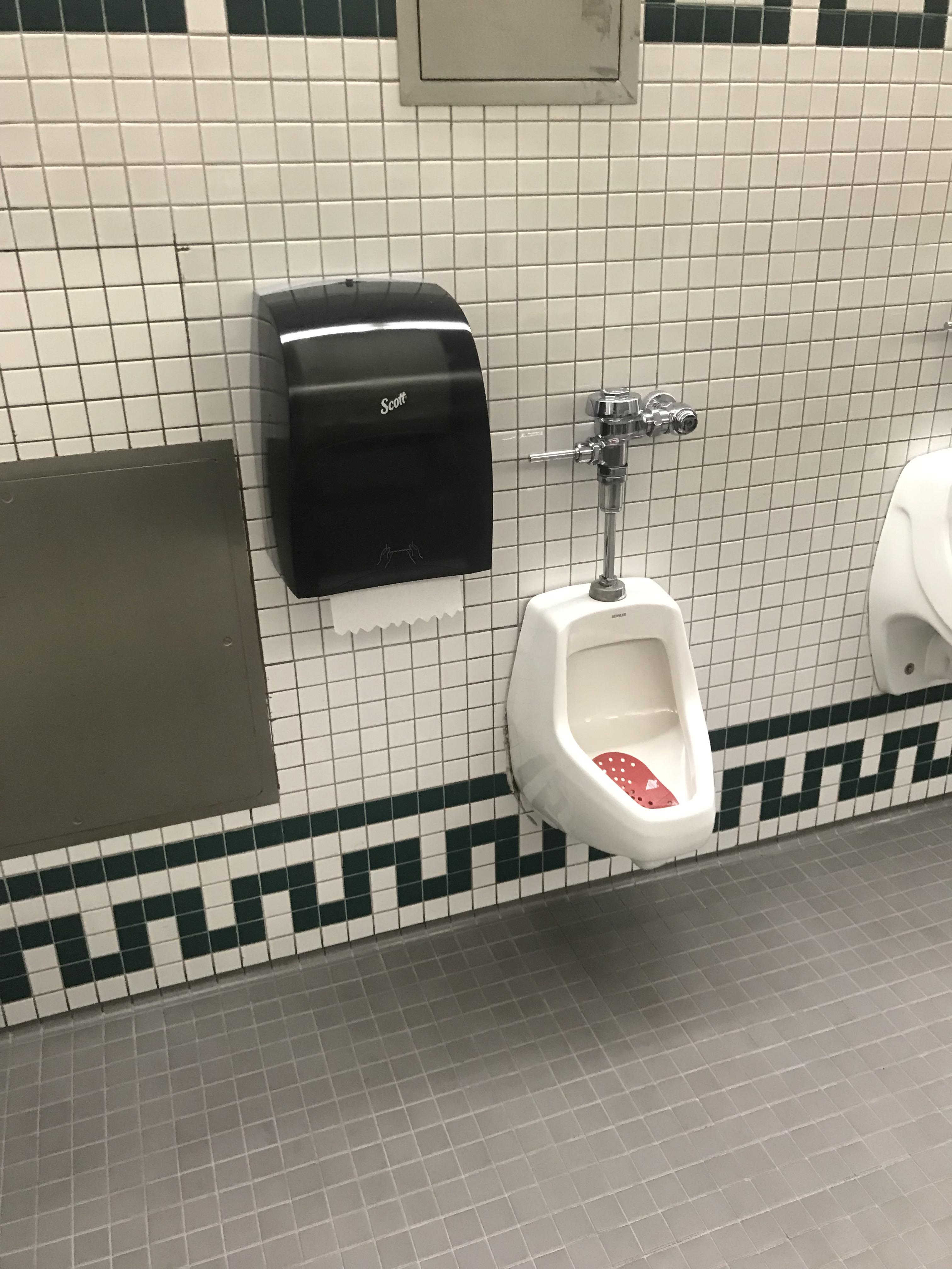 My school urinals r/funny
