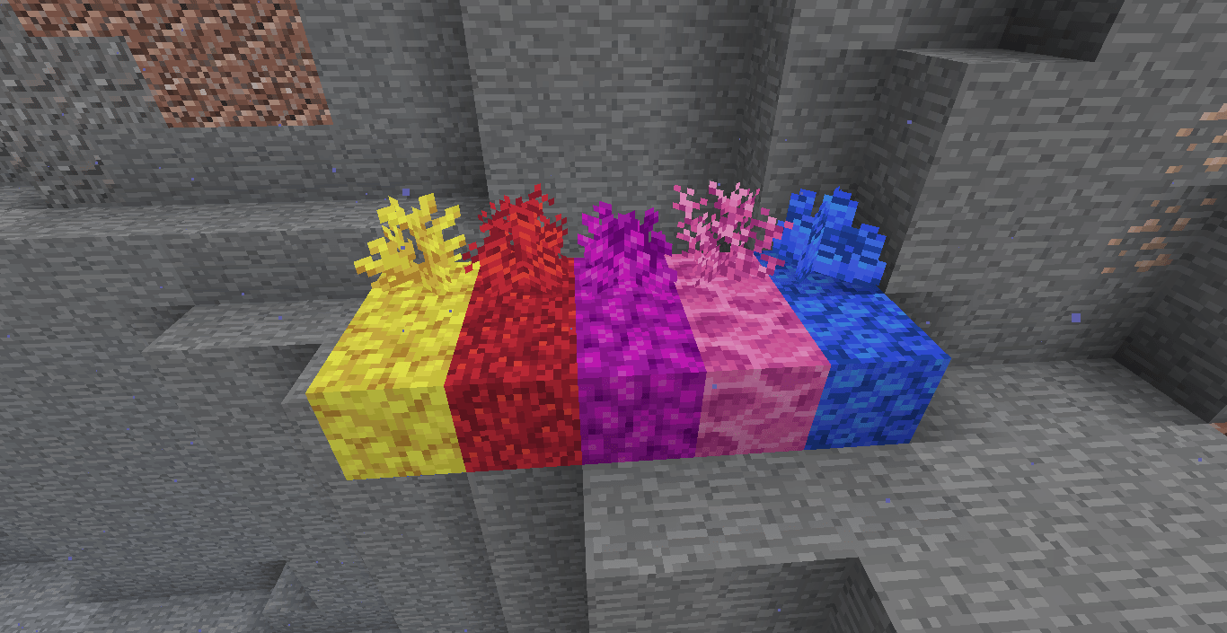 The new corals look awesome!! r/Minecraft