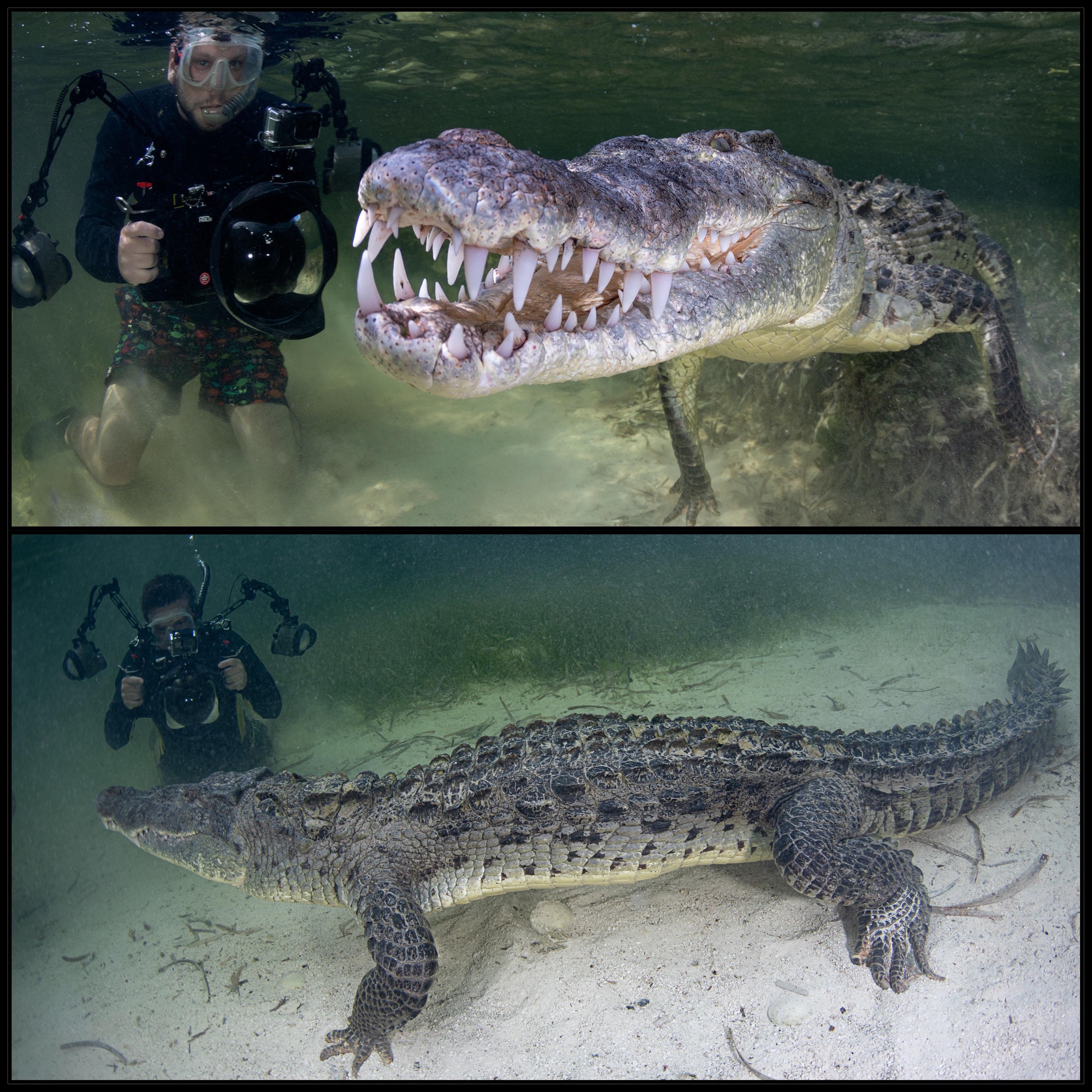 Remembered seeing this post a while back, thought it would fit nicely