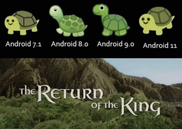 Return of the turtle king