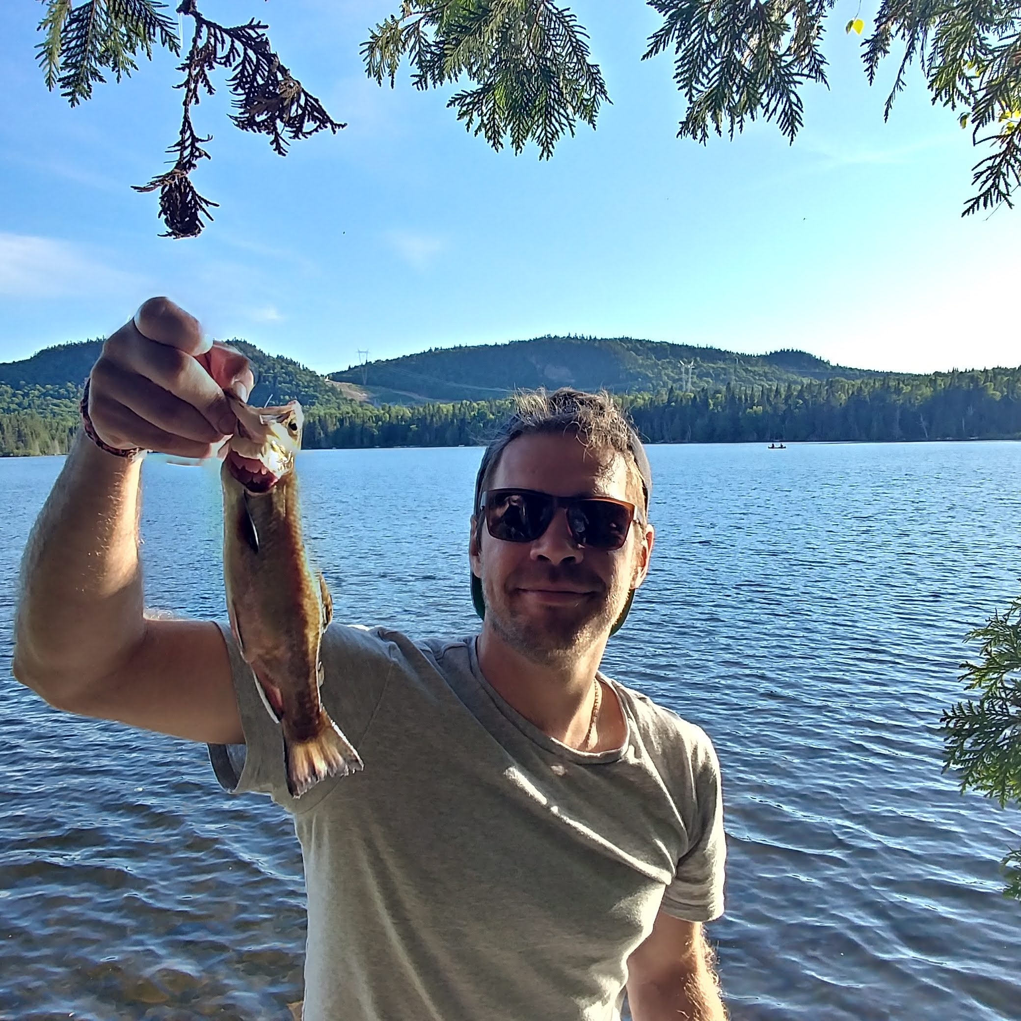 Little brook trout in Quebec r/Fishing